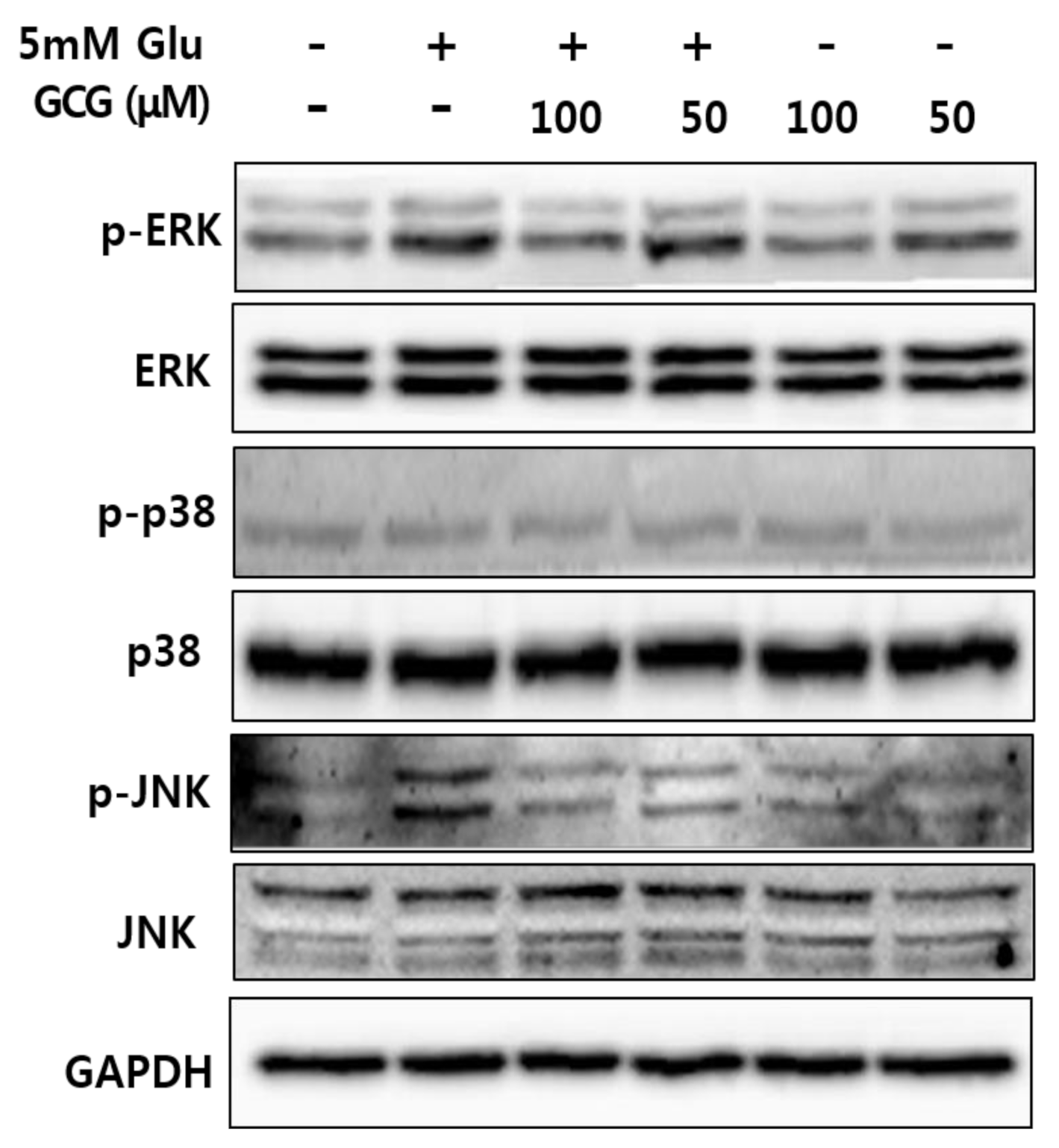Molecules 26 01387 g006 Molecules 26 01387 g006