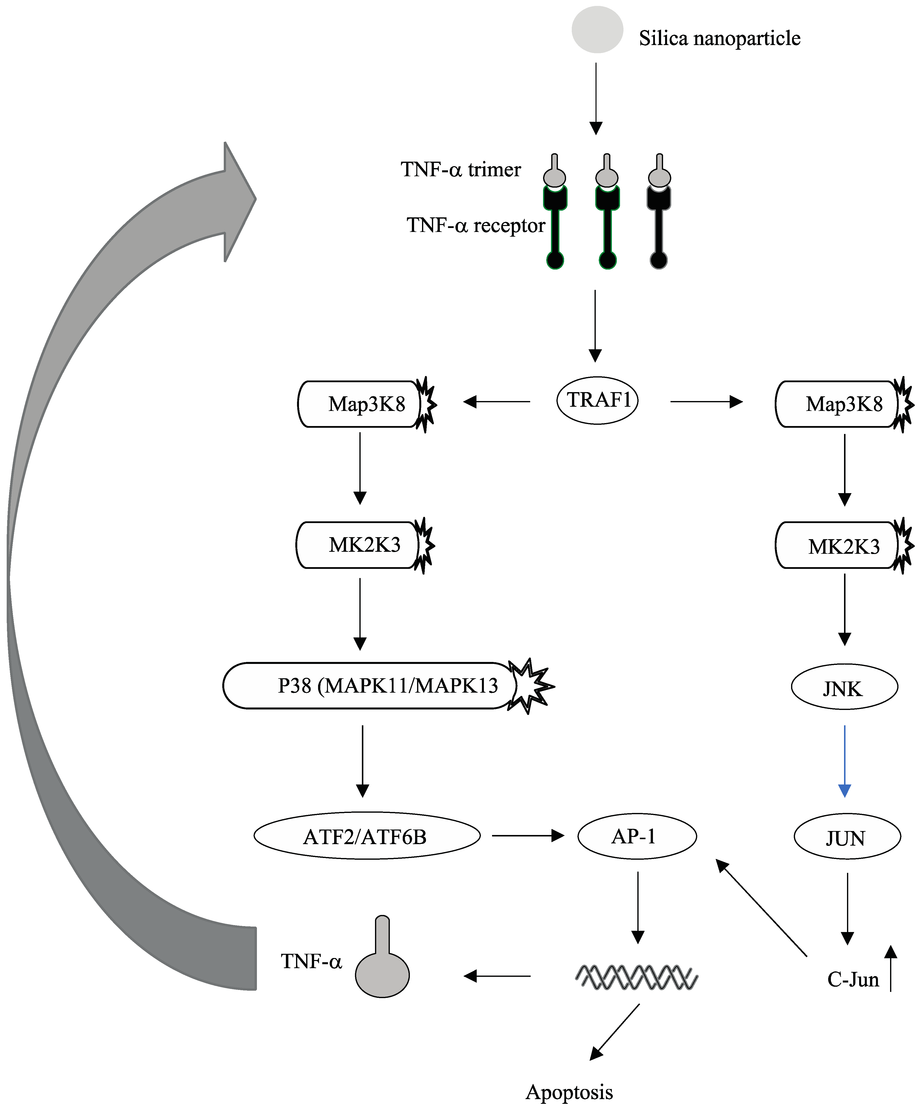 Molecules 26 01398 g005 Molecules 26 01398 g005