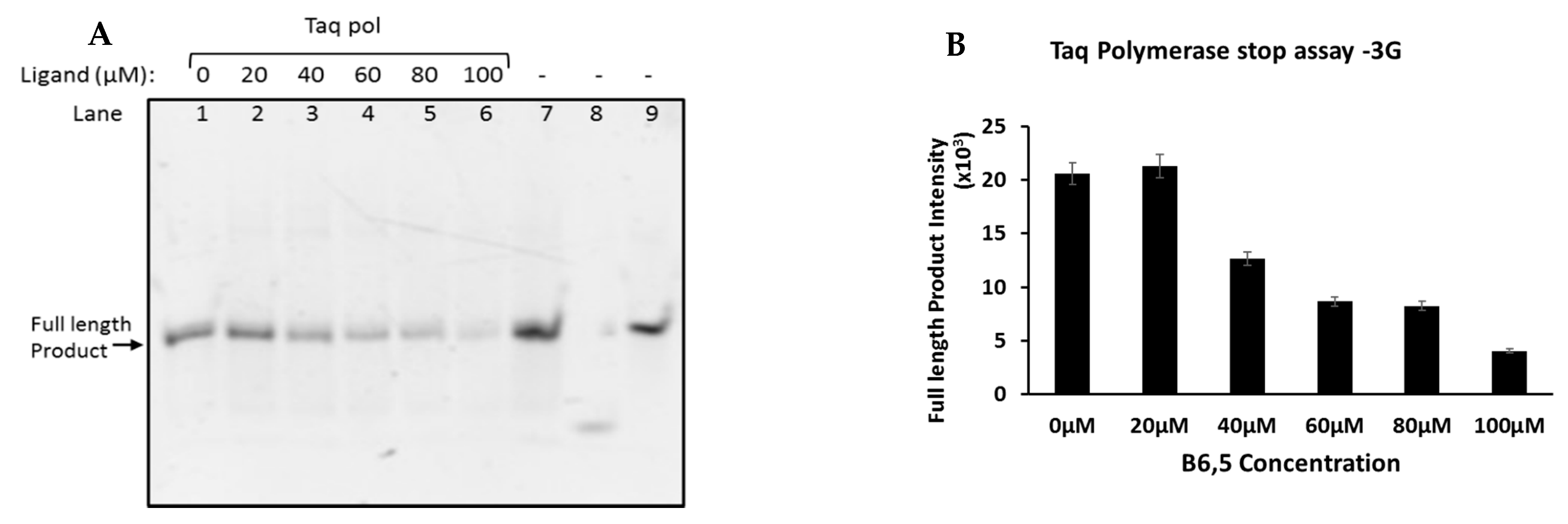 Molecules 26 01400 g003