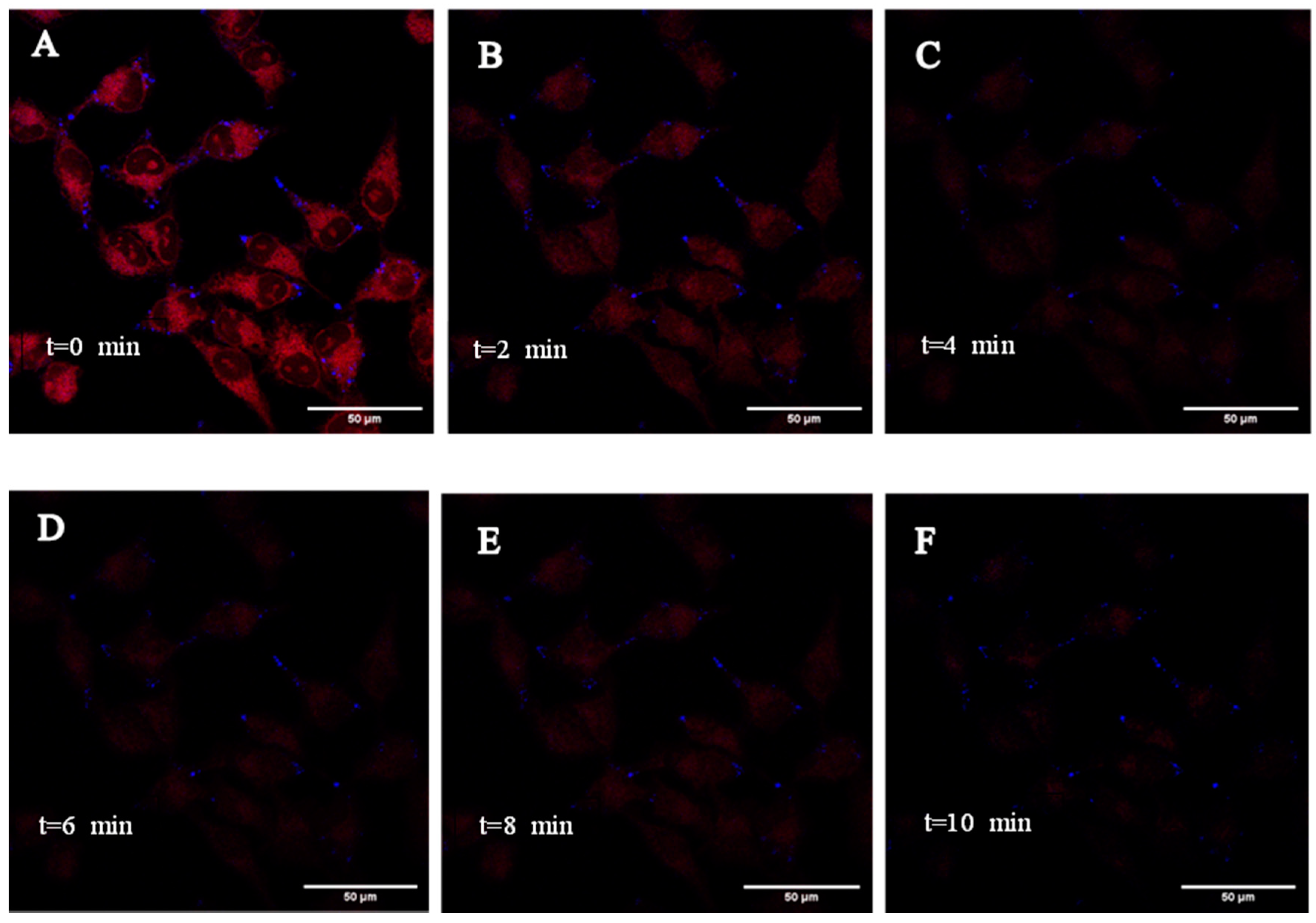 Molecules 26 01400 g008