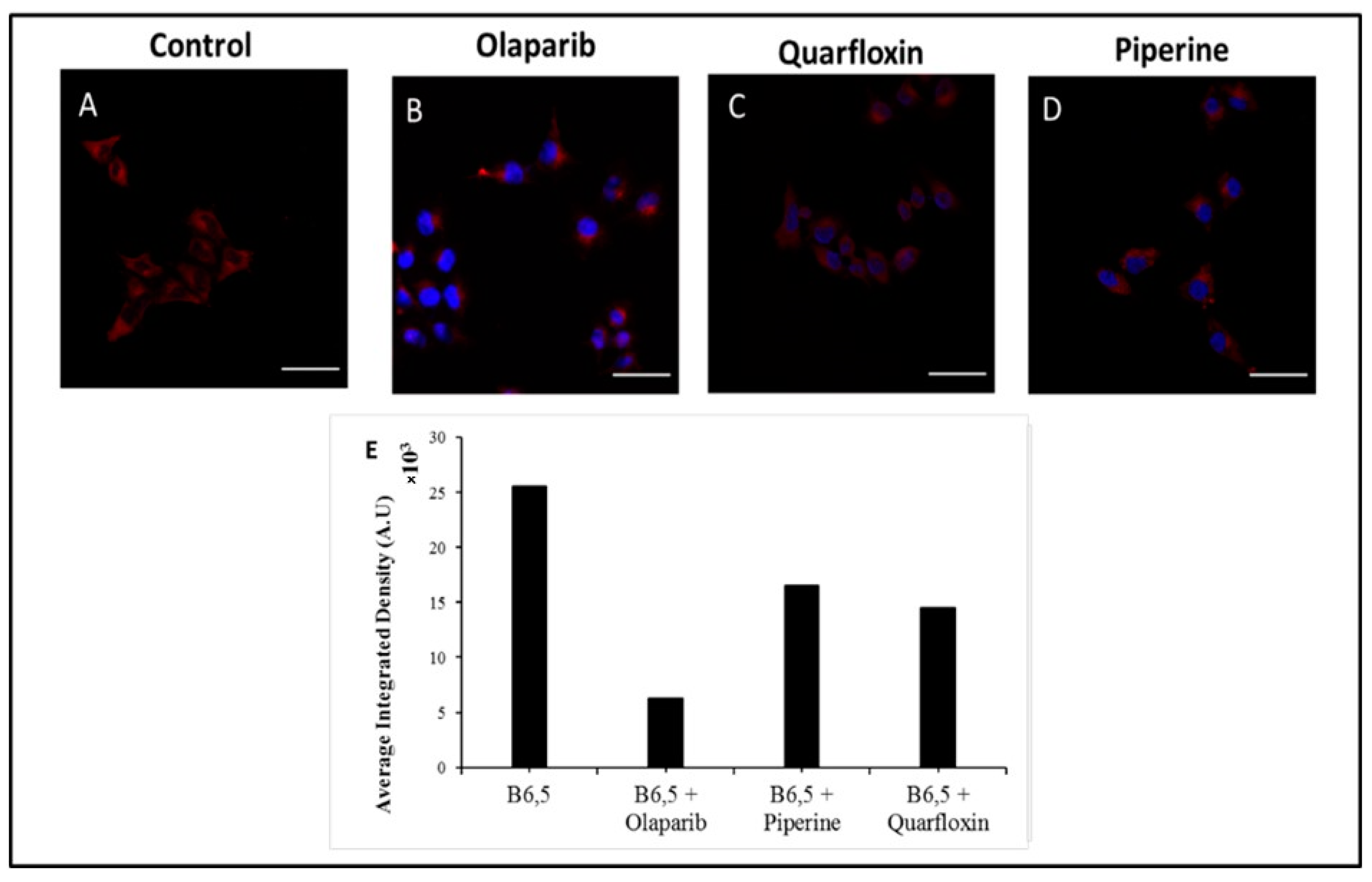Molecules 26 01400 g009