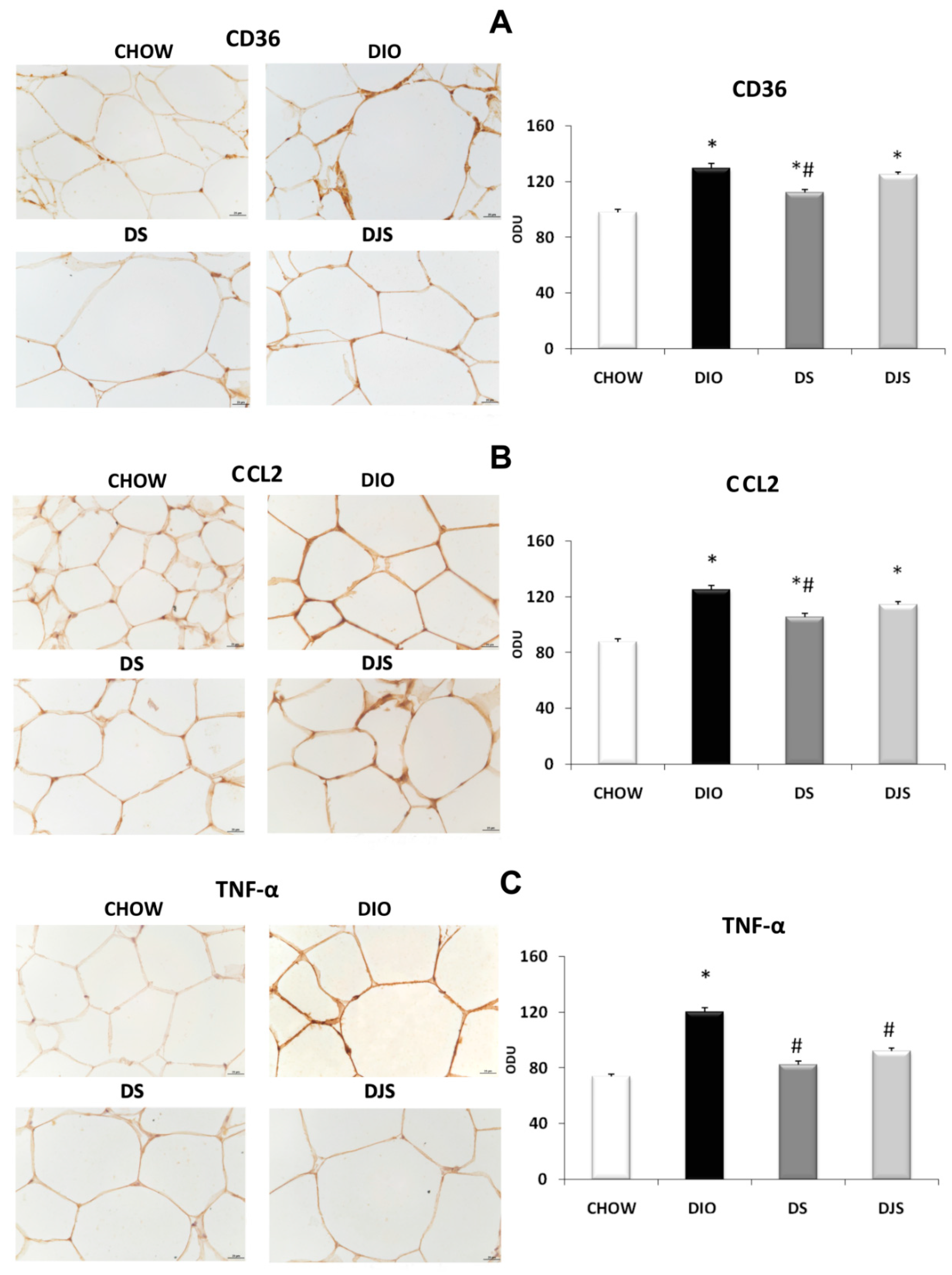 Molecules 26 01403 g008 Molecules 26 01403 g008