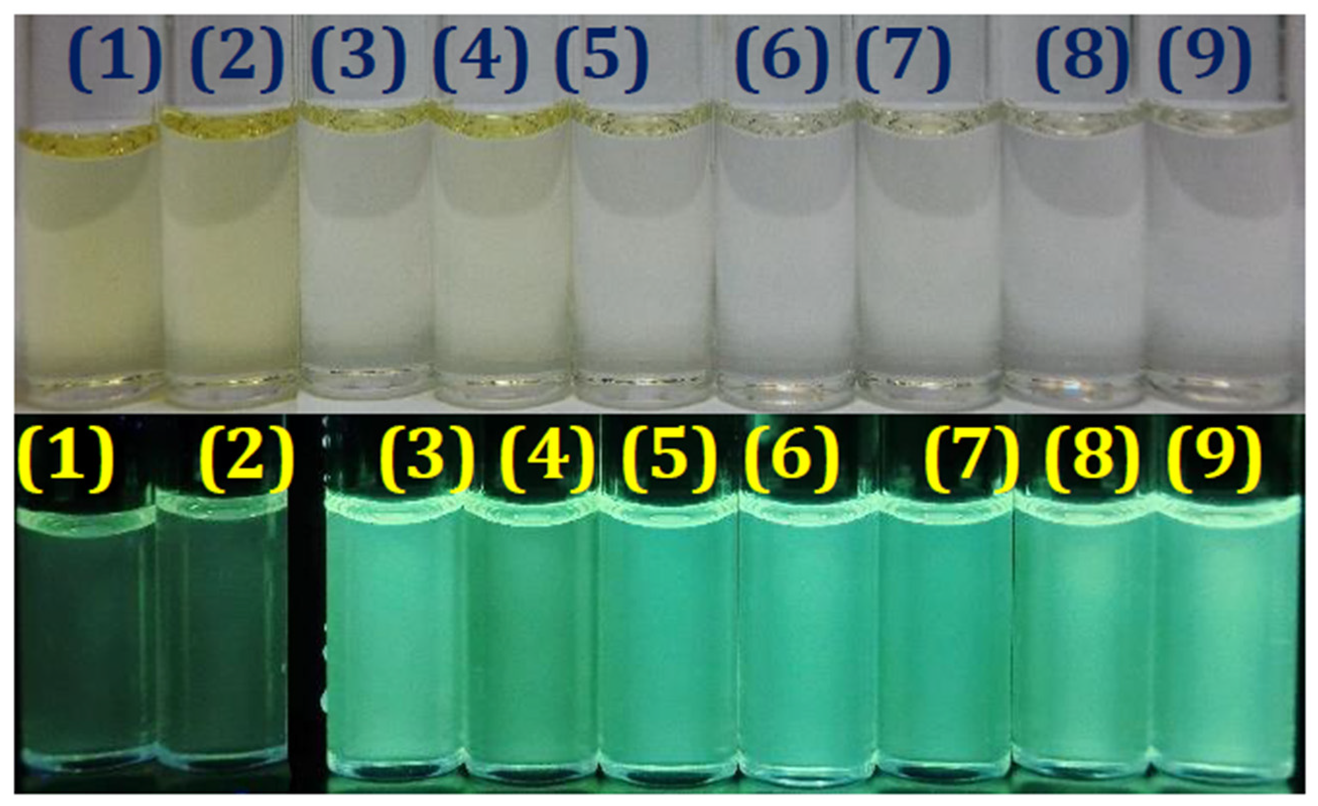 Molecules 26 01404 g012