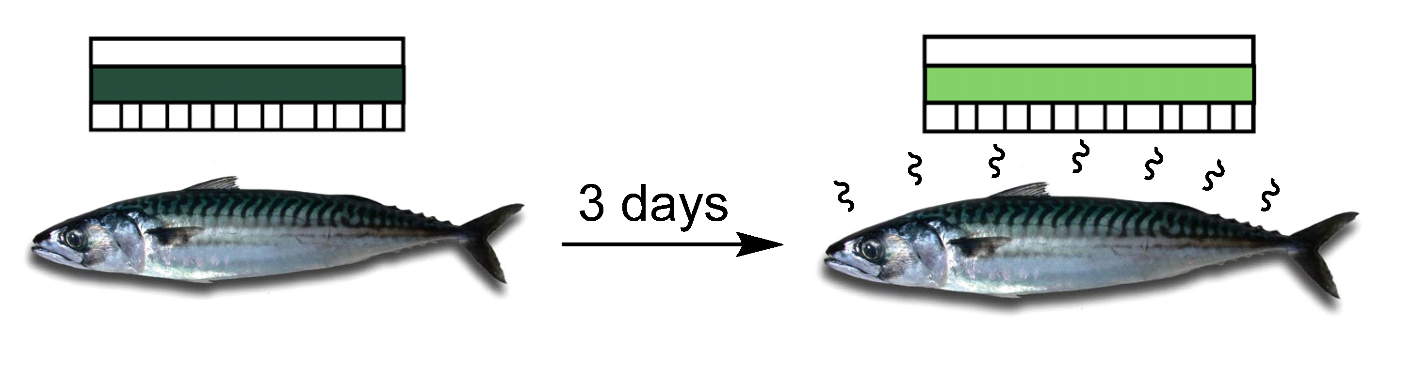 Molecules 26 01404 g014
