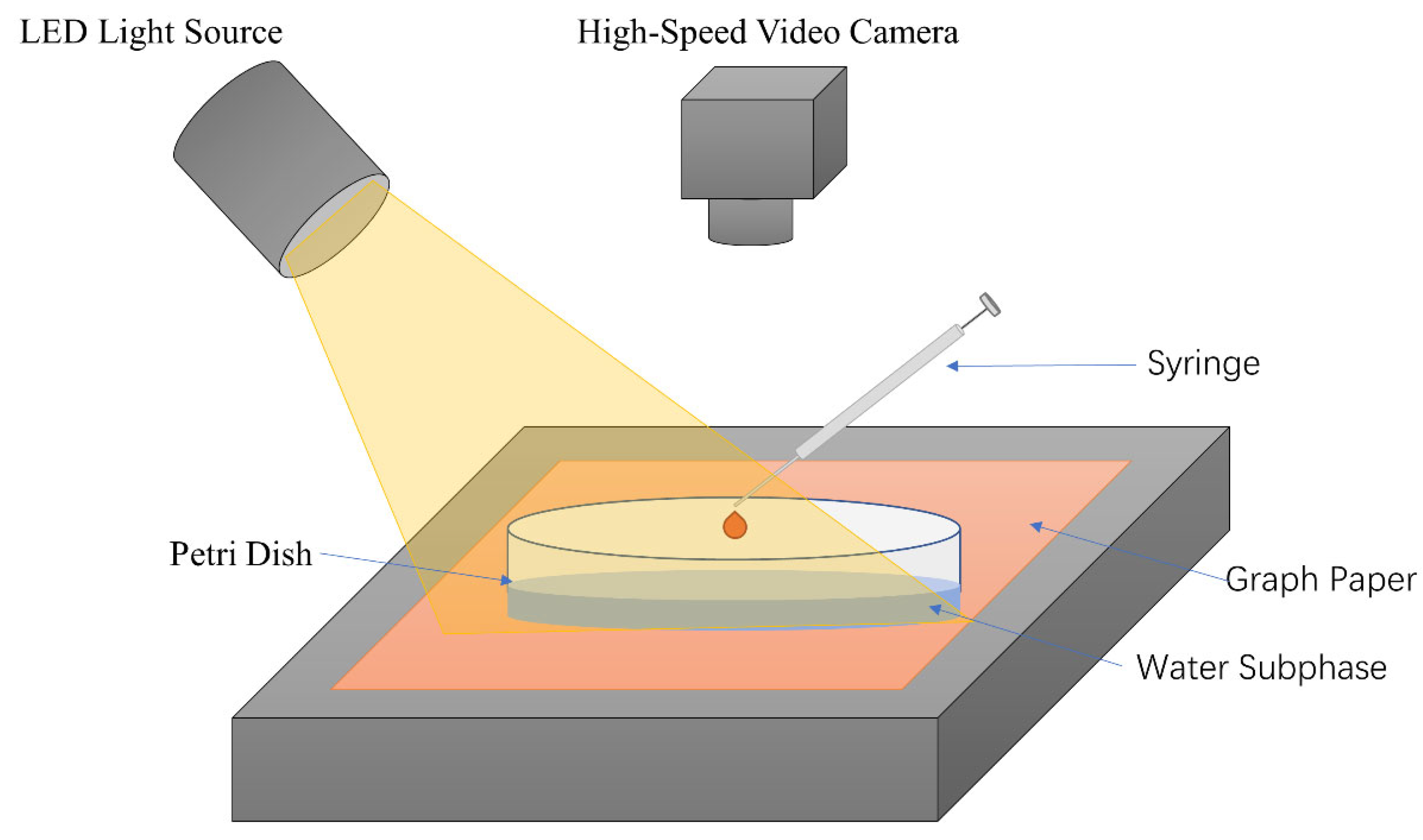 Molecules 26 01408 g005