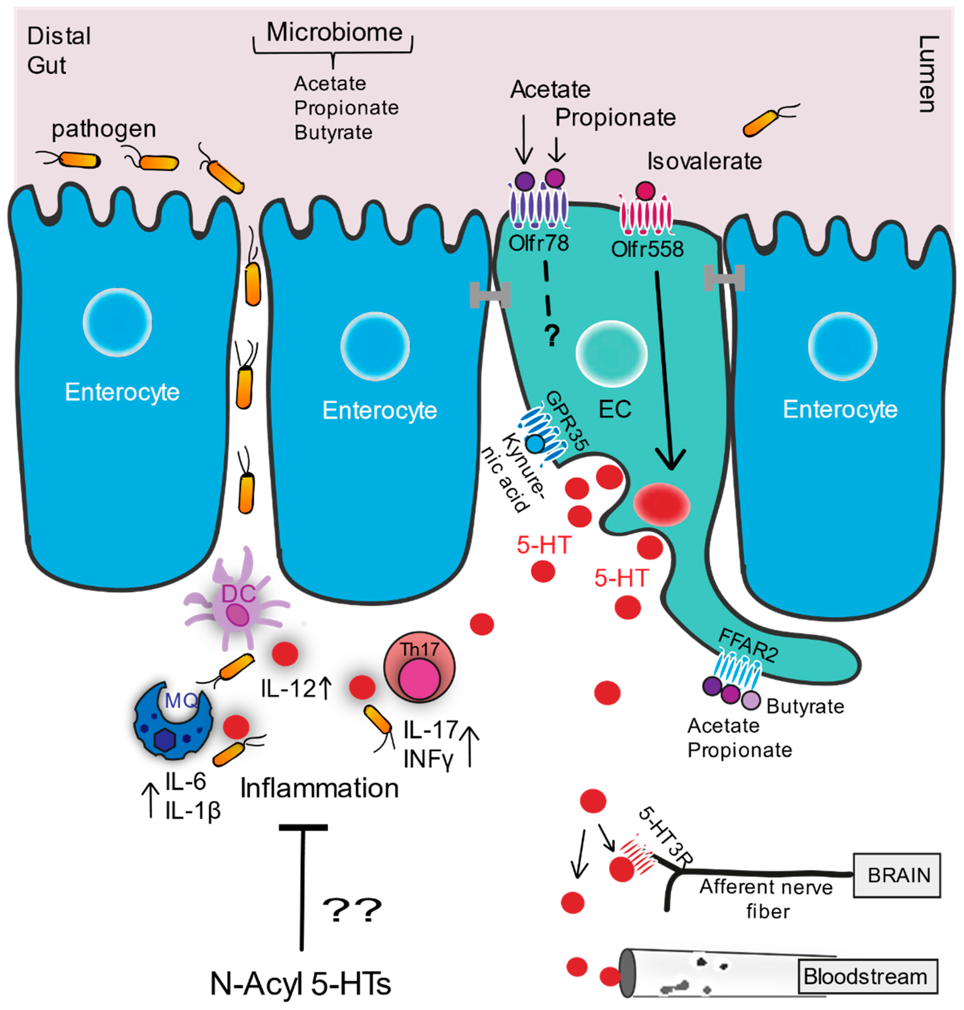 Molecules 26 01416 g001