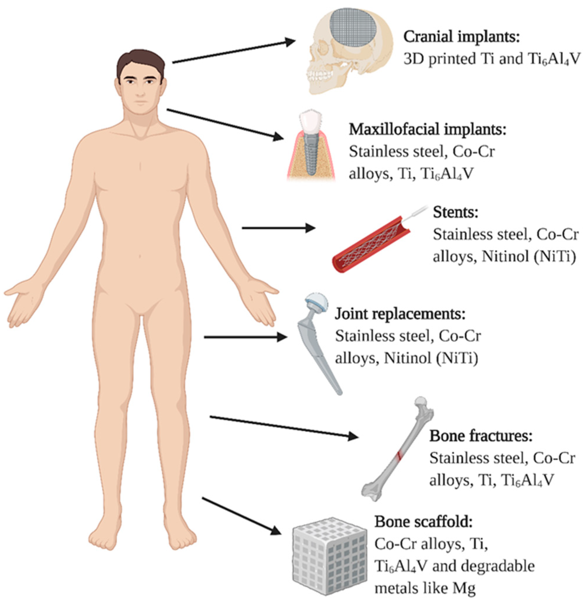 Molecules 26 01418 g001