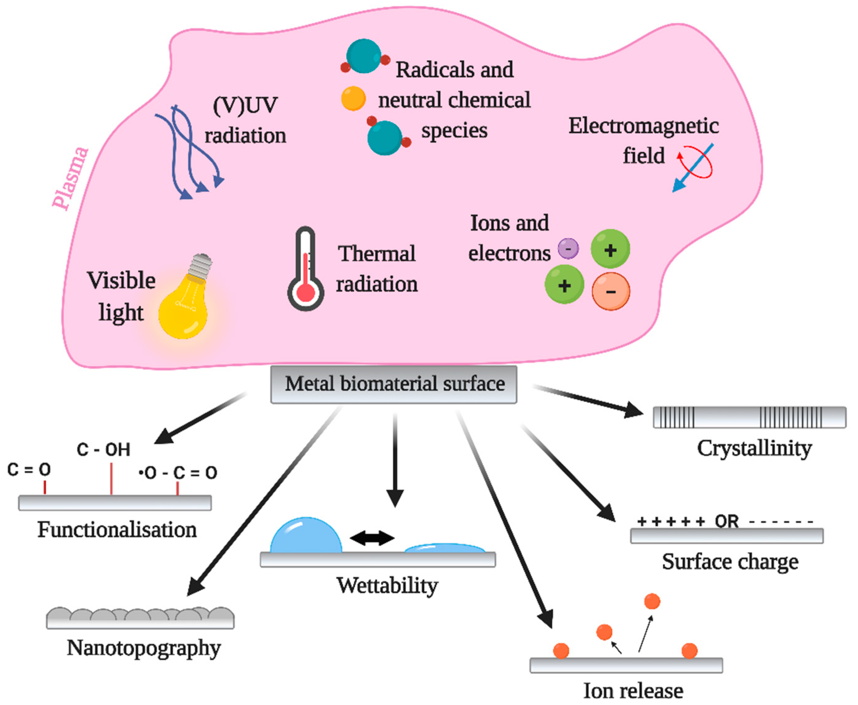 Molecules 26 01418 g003