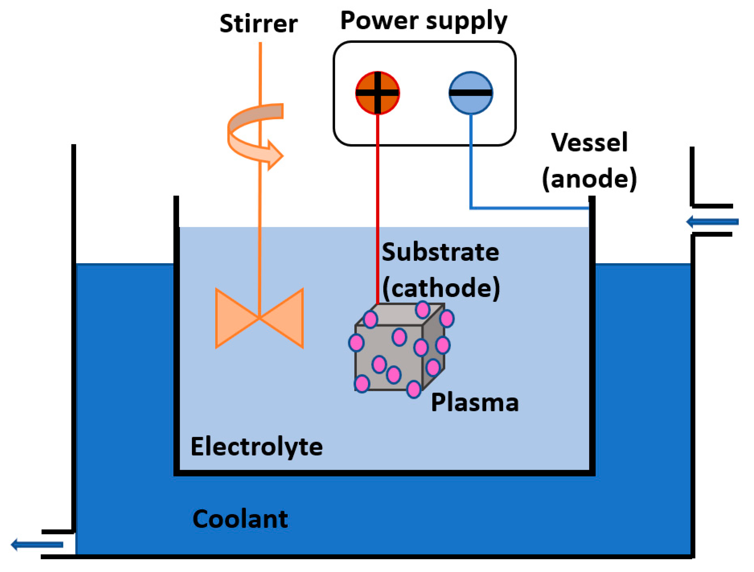 Molecules 26 01418 g008