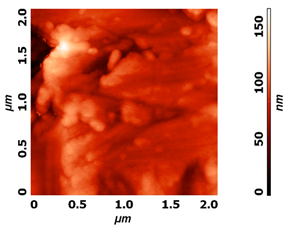 Molecules 26 01418 i001
