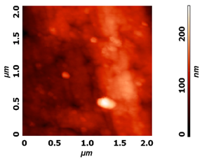Molecules 26 01418 i003