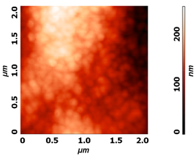 Molecules 26 01418 i004
