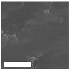 Molecules 26 01418 i005