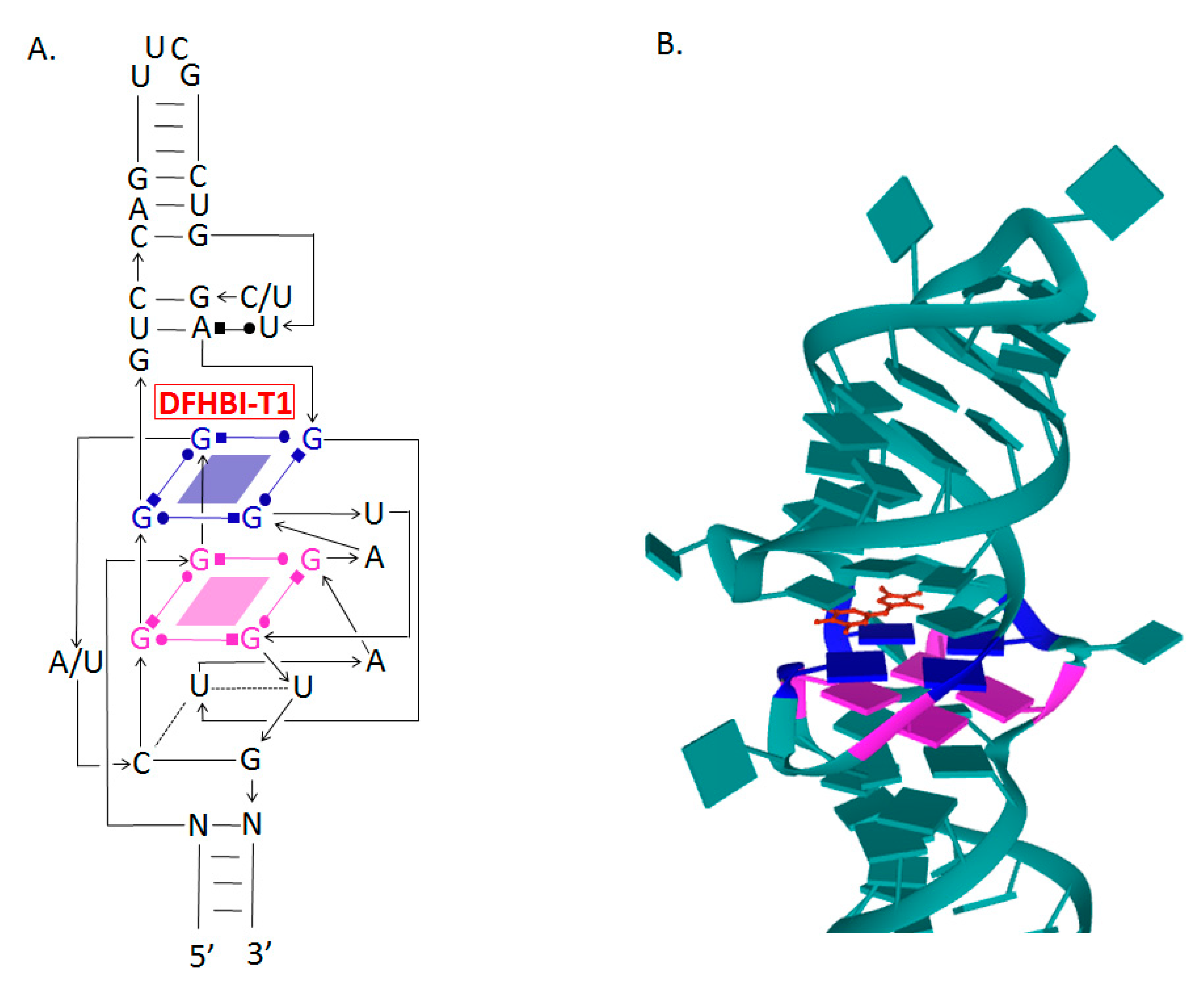 Molecules 26 01422 g002