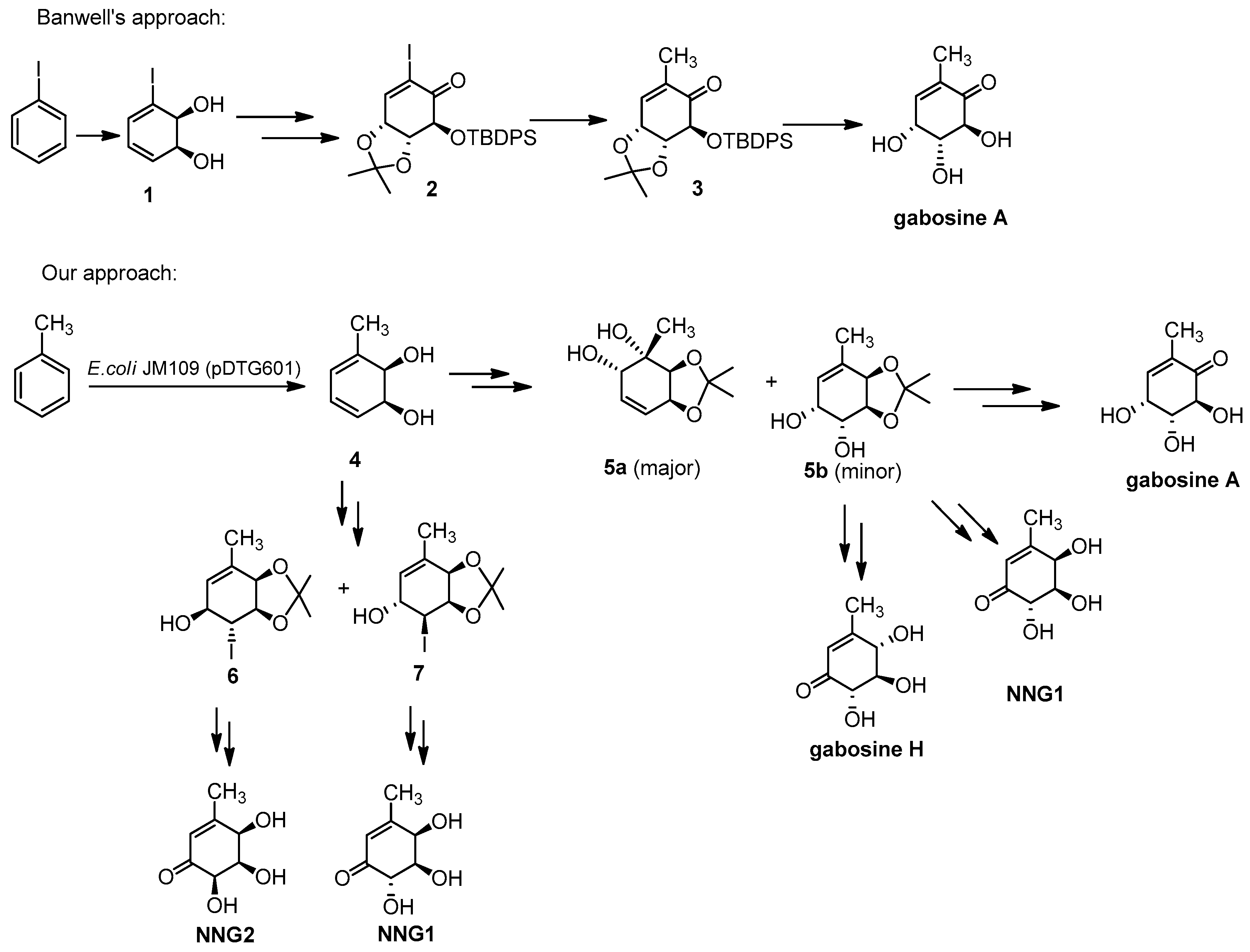 Molecules 26 01423 g002