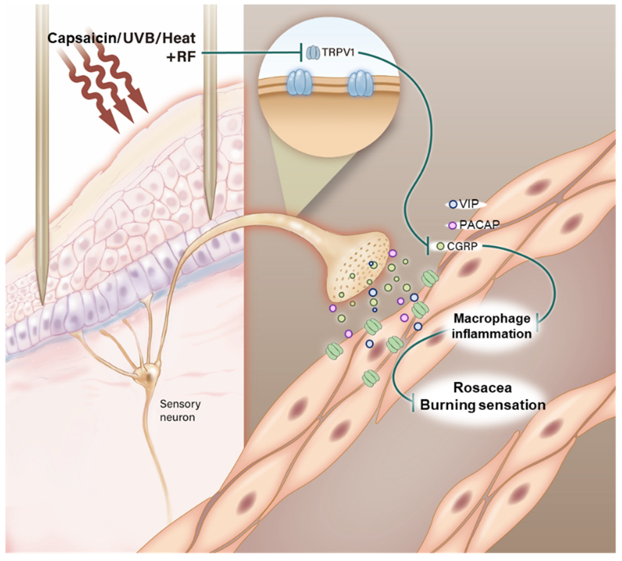 Molecules 26 01424 g006