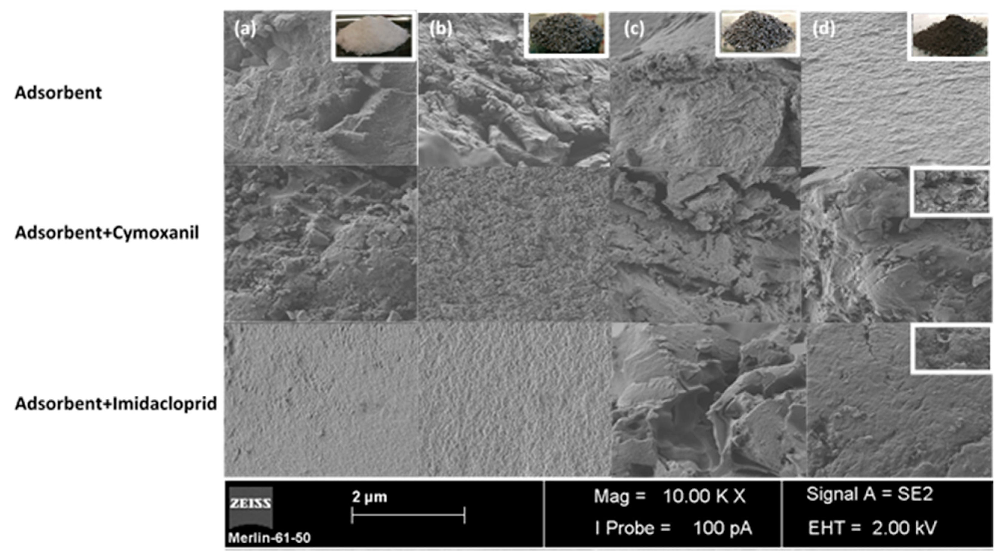 Molecules 26 01426 g006