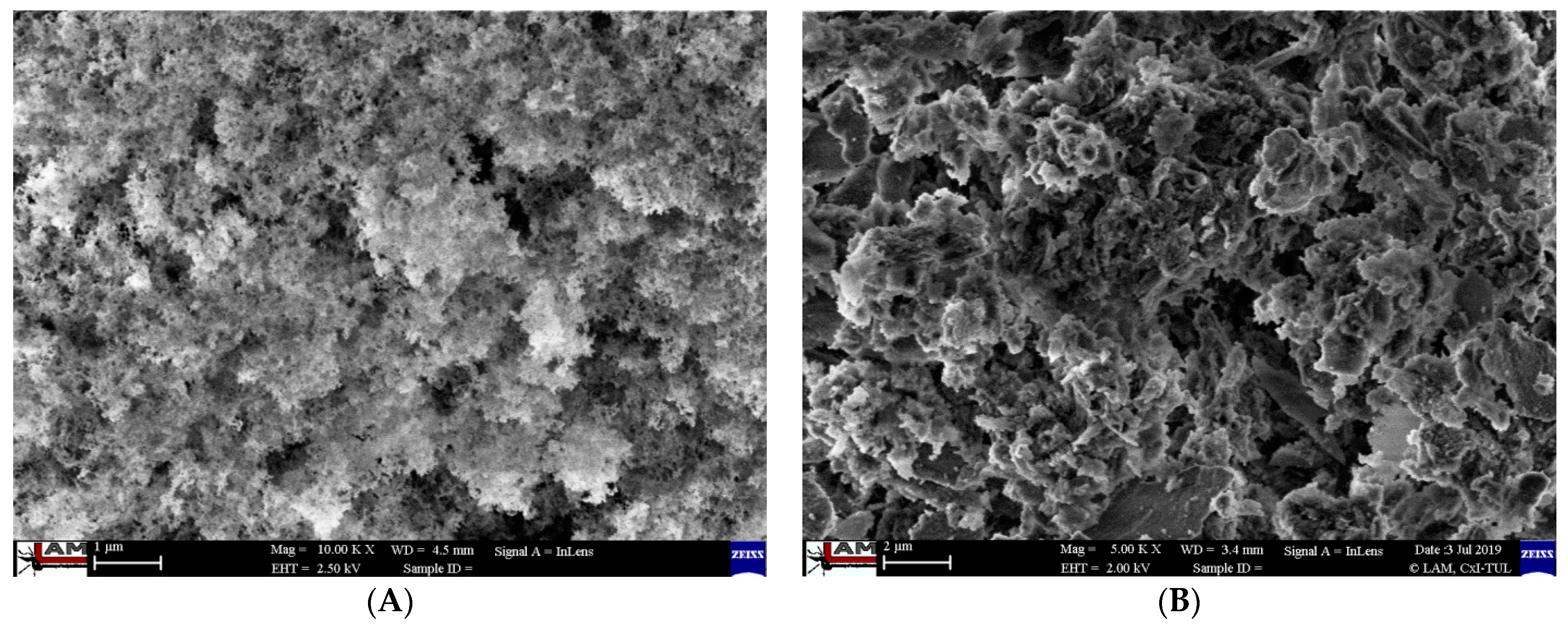 Molecules 26 01427 g001a Molecules 26 01427 g001a