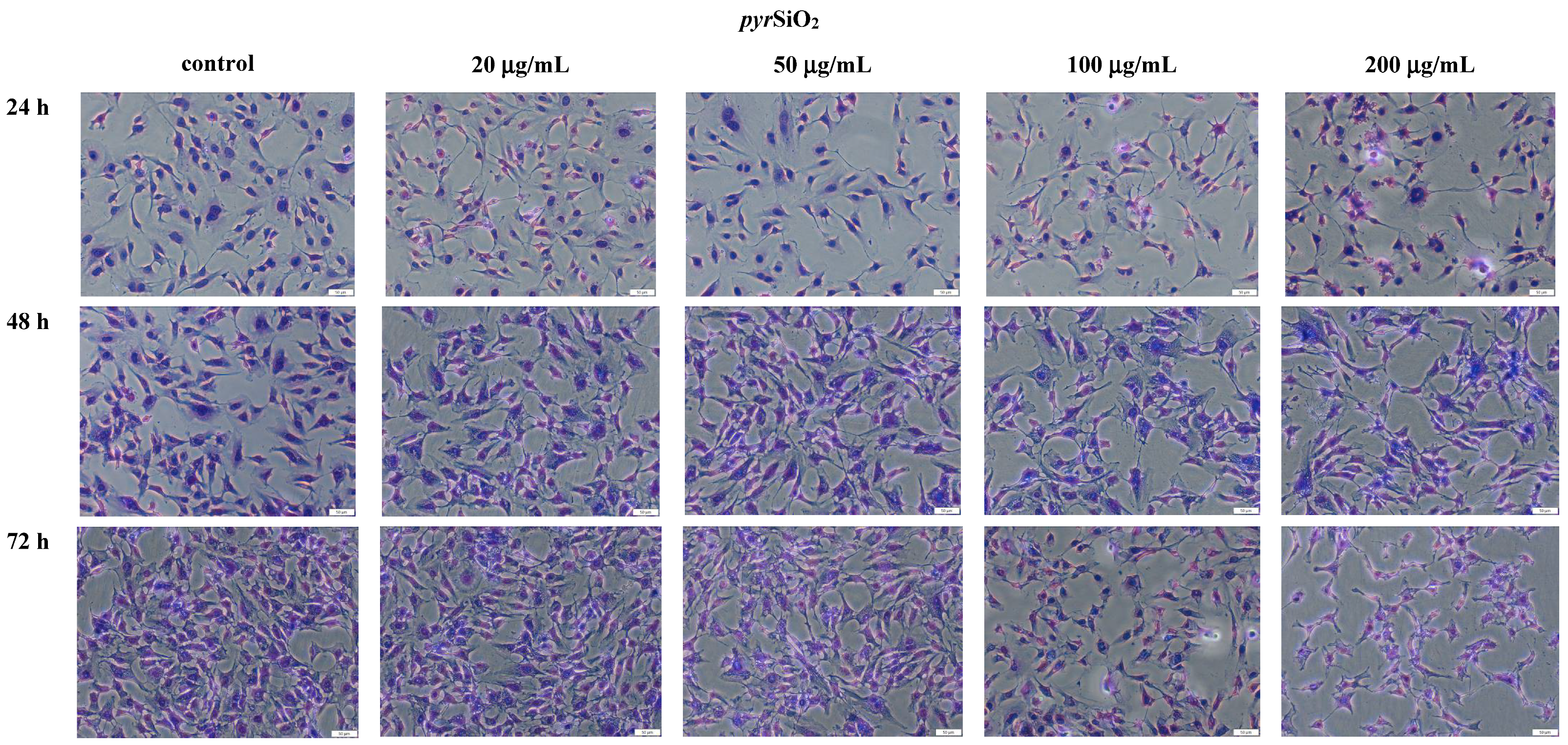 Molecules 26 01427 g006 Molecules 26 01427 g006
