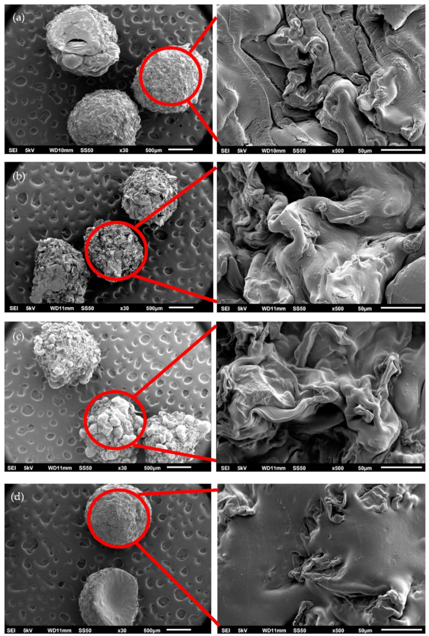 Molecules 26 01437 g002