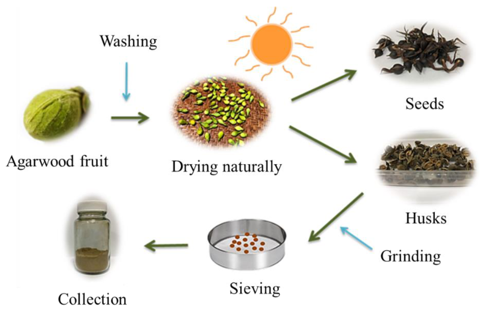 Molecules 26 01437 g013