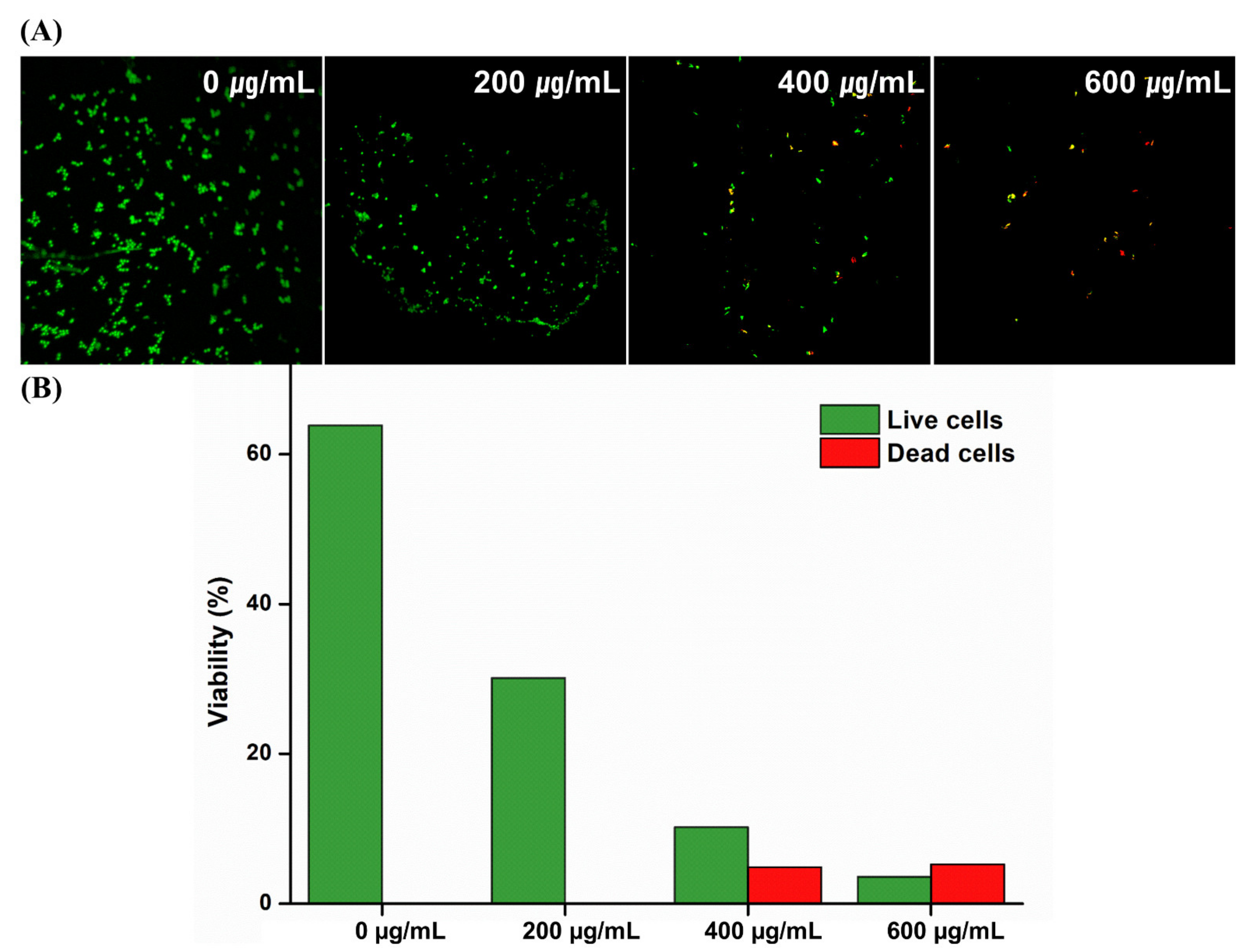 Molecules 26 01440 g005