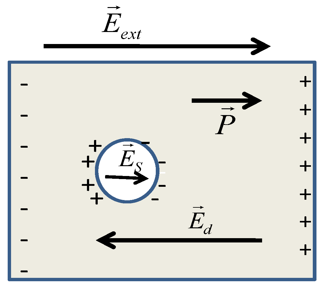 Molecules 26 01441 g001