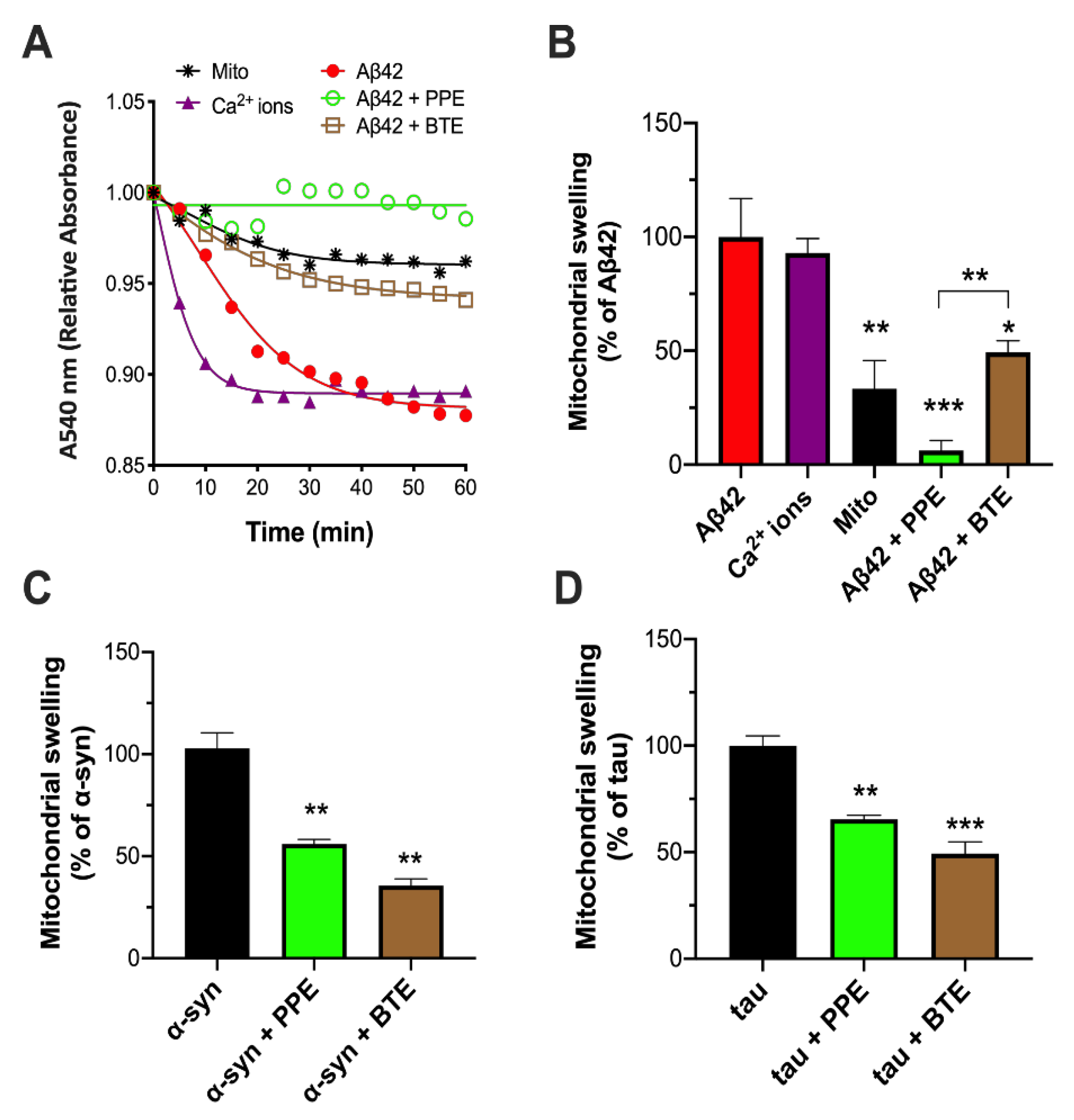 Molecules 26 01444 g002