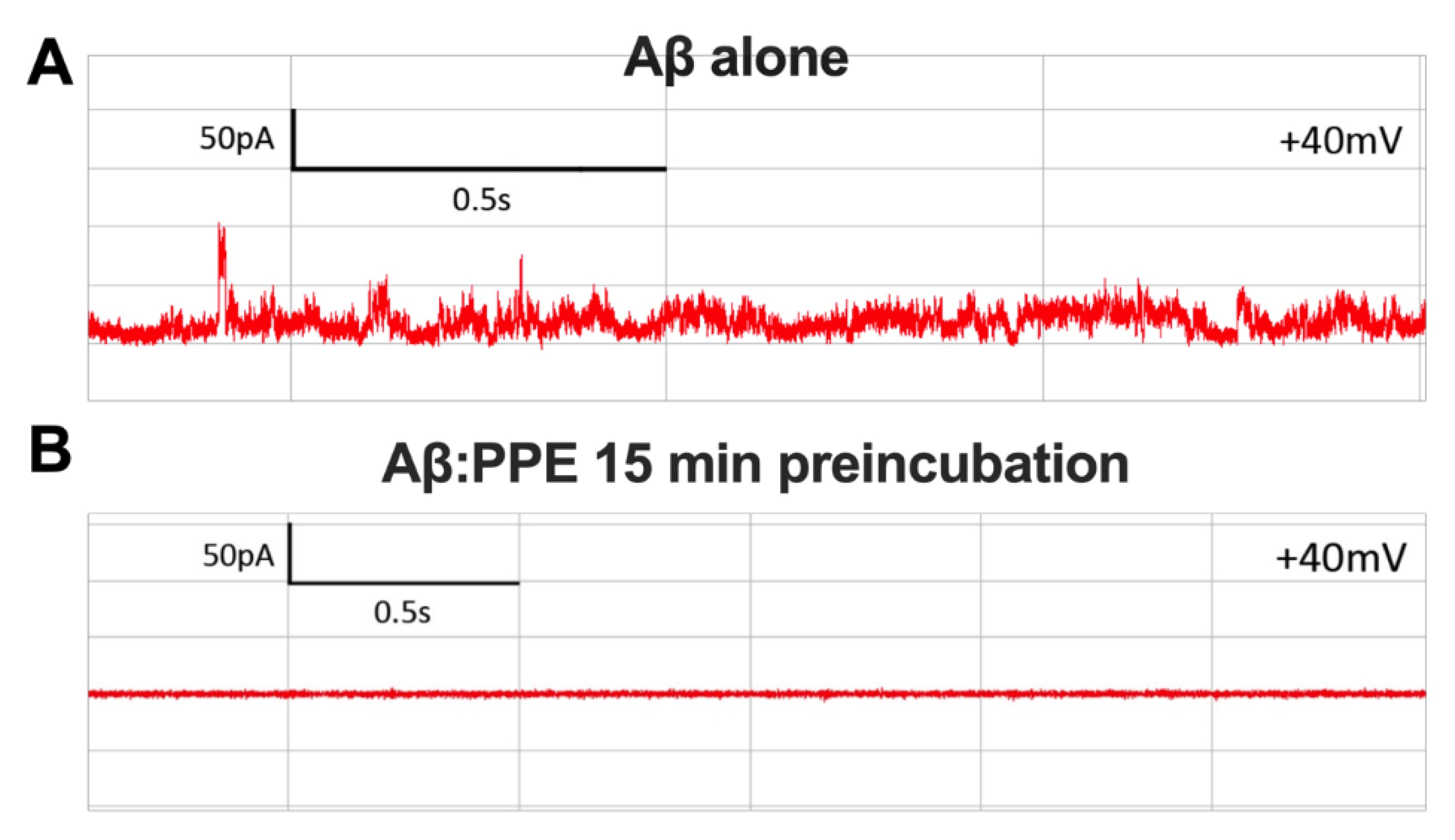 Molecules 26 01444 g004