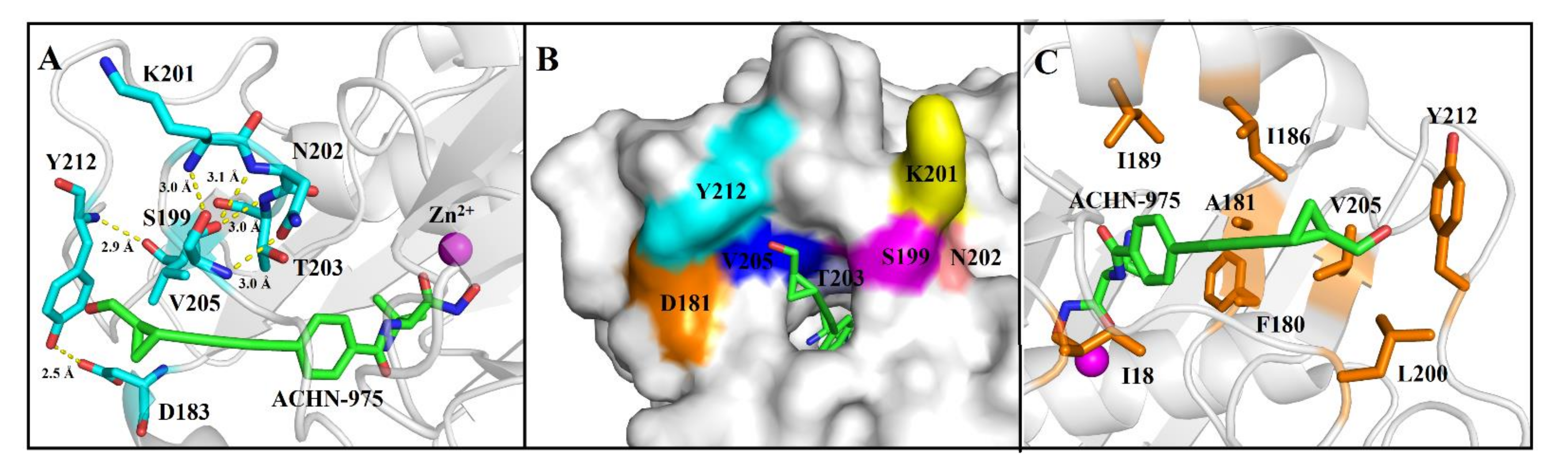 ビタミン ARIIX moa Frontiers | Processed lateral root of Aconitum carmichaelii