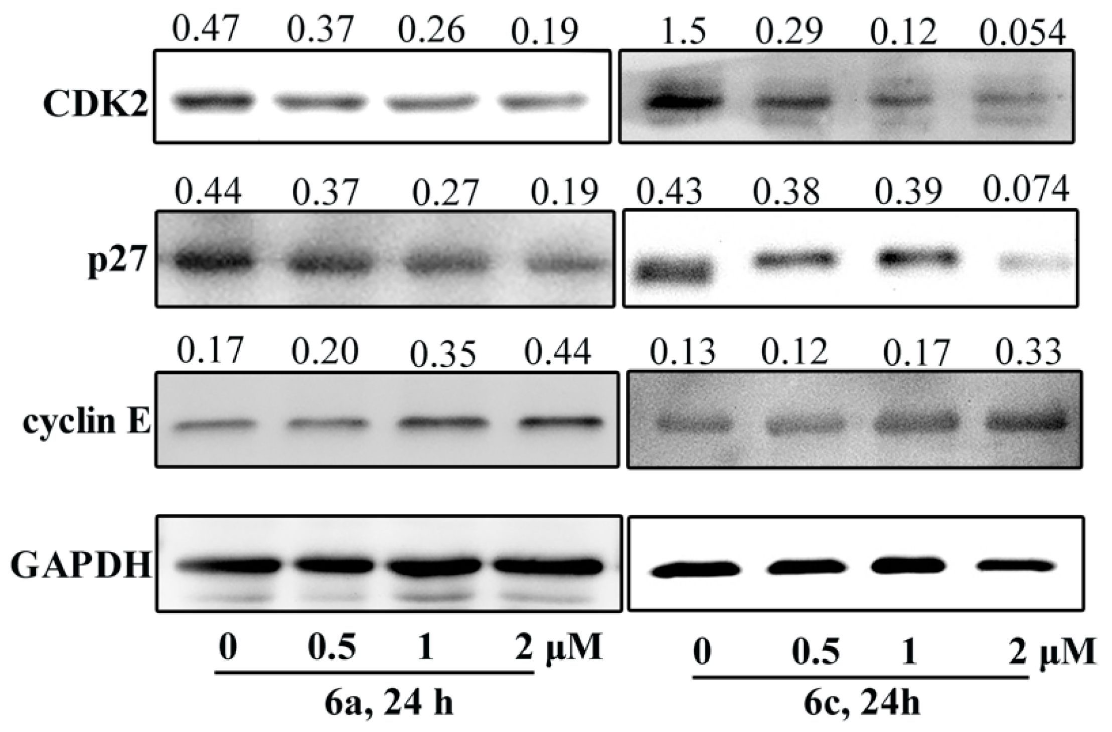 Molecules 26 01453 g005