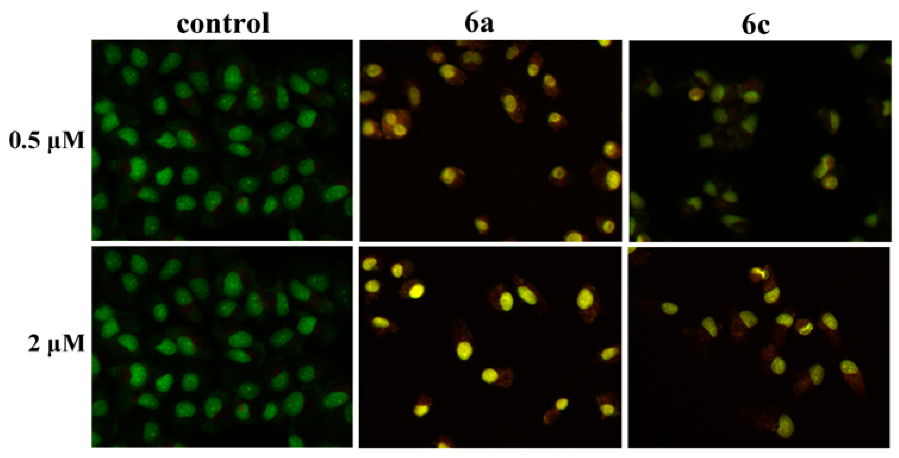 Molecules 26 01453 g006