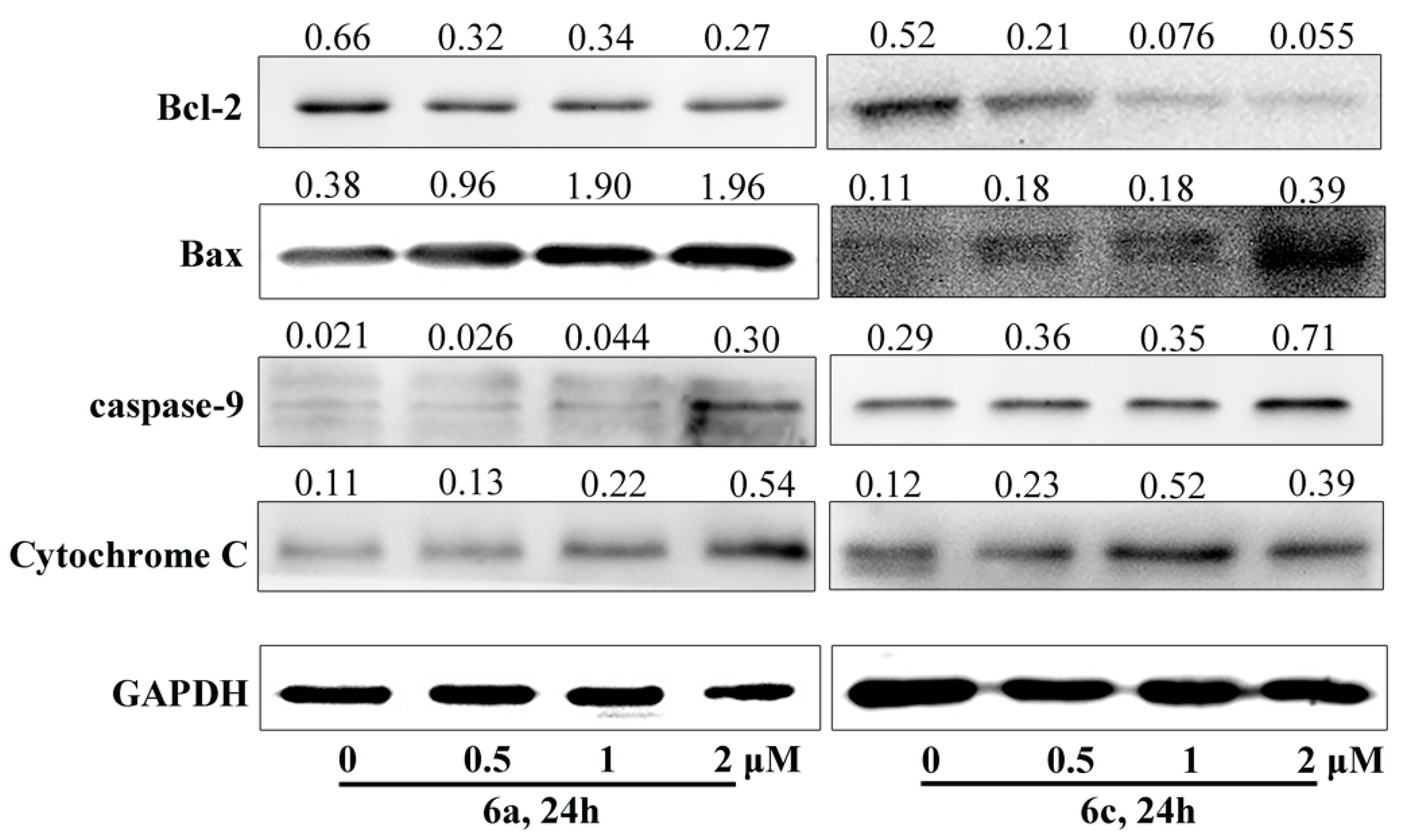 Molecules 26 01453 g011