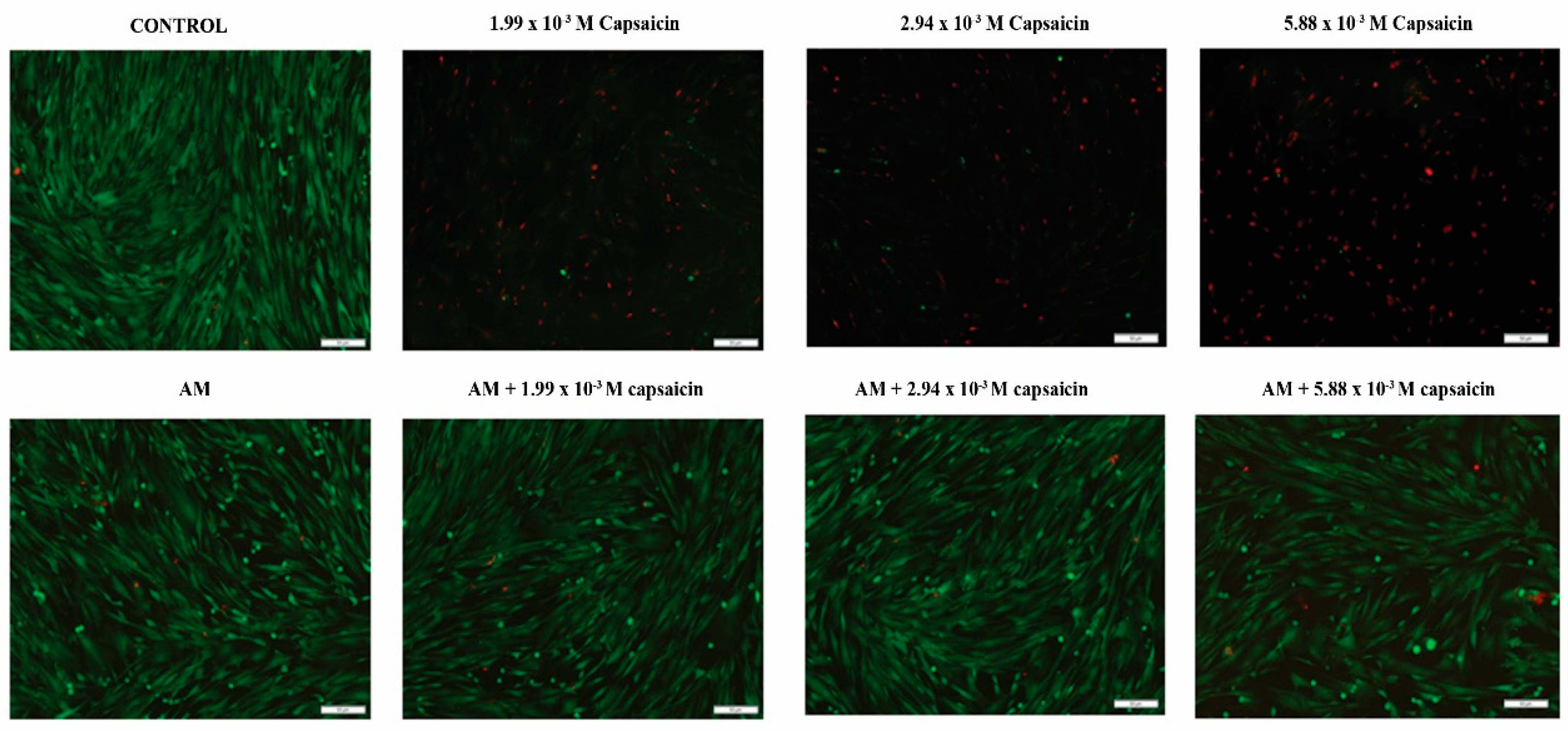 Molecules 26 01455 g004