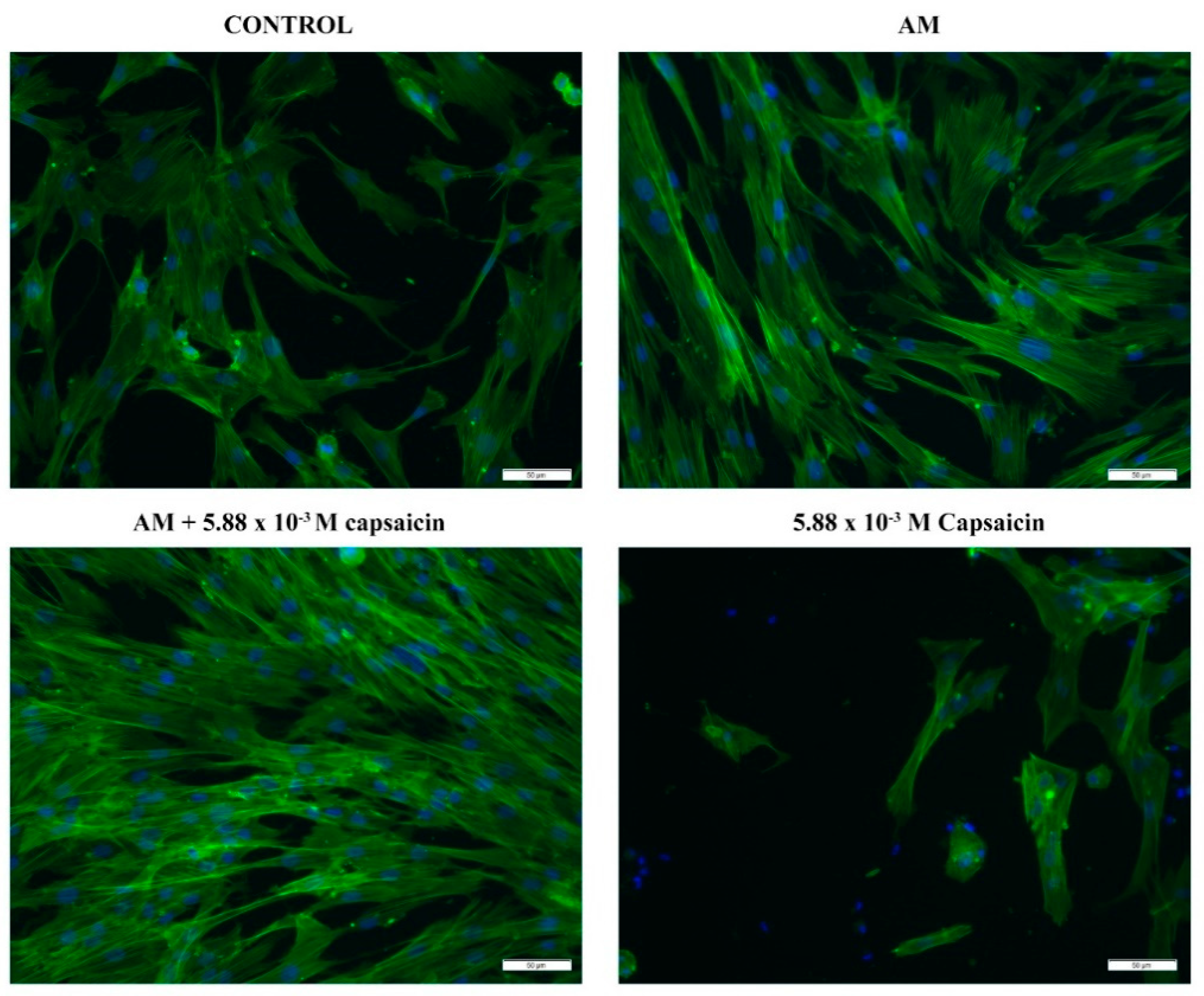 Molecules 26 01455 g005