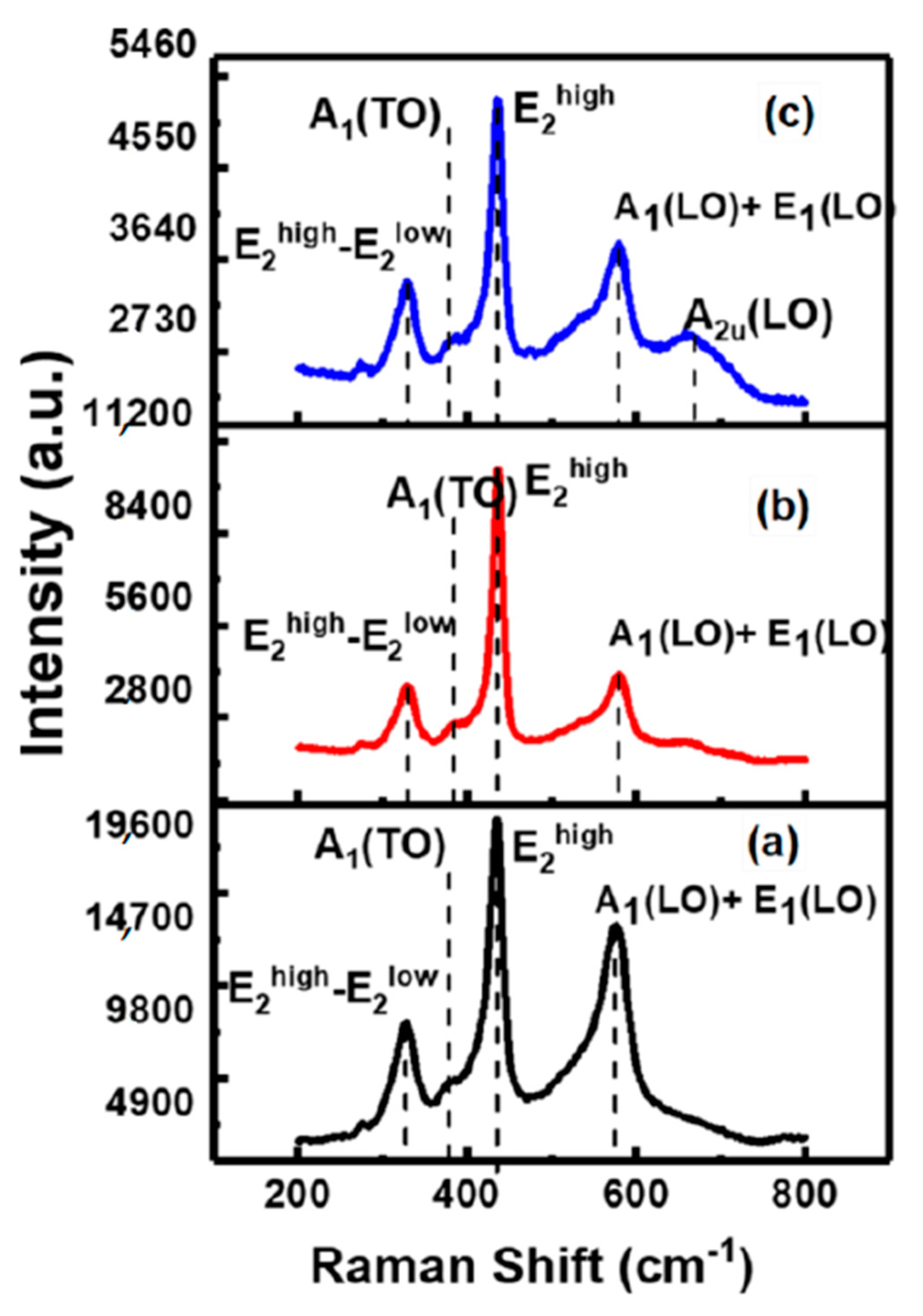 Molecules 26 01456 g008