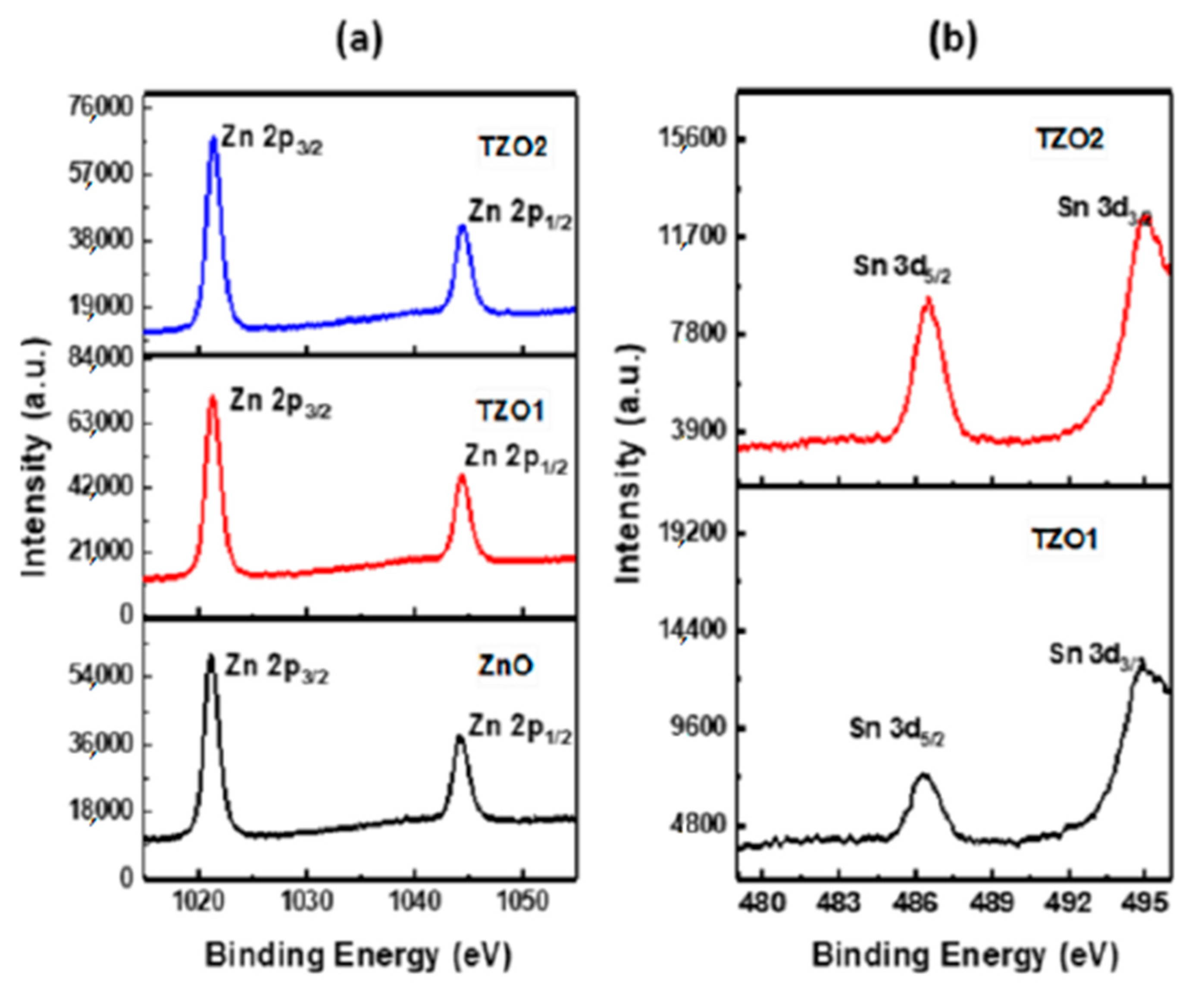 Molecules 26 01456 g009