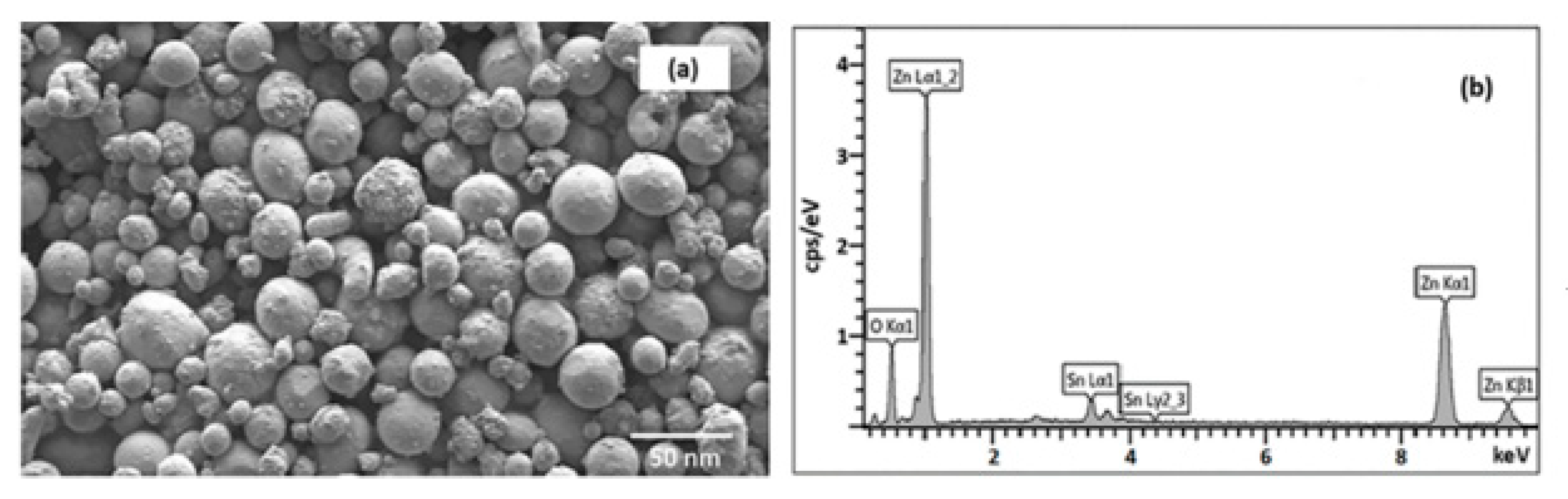 Molecules 26 01456 g011