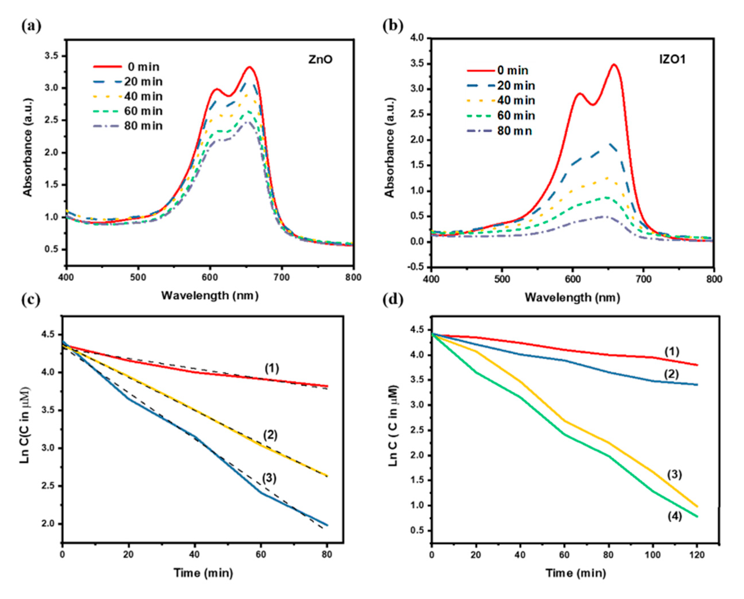 Molecules 26 01456 g019