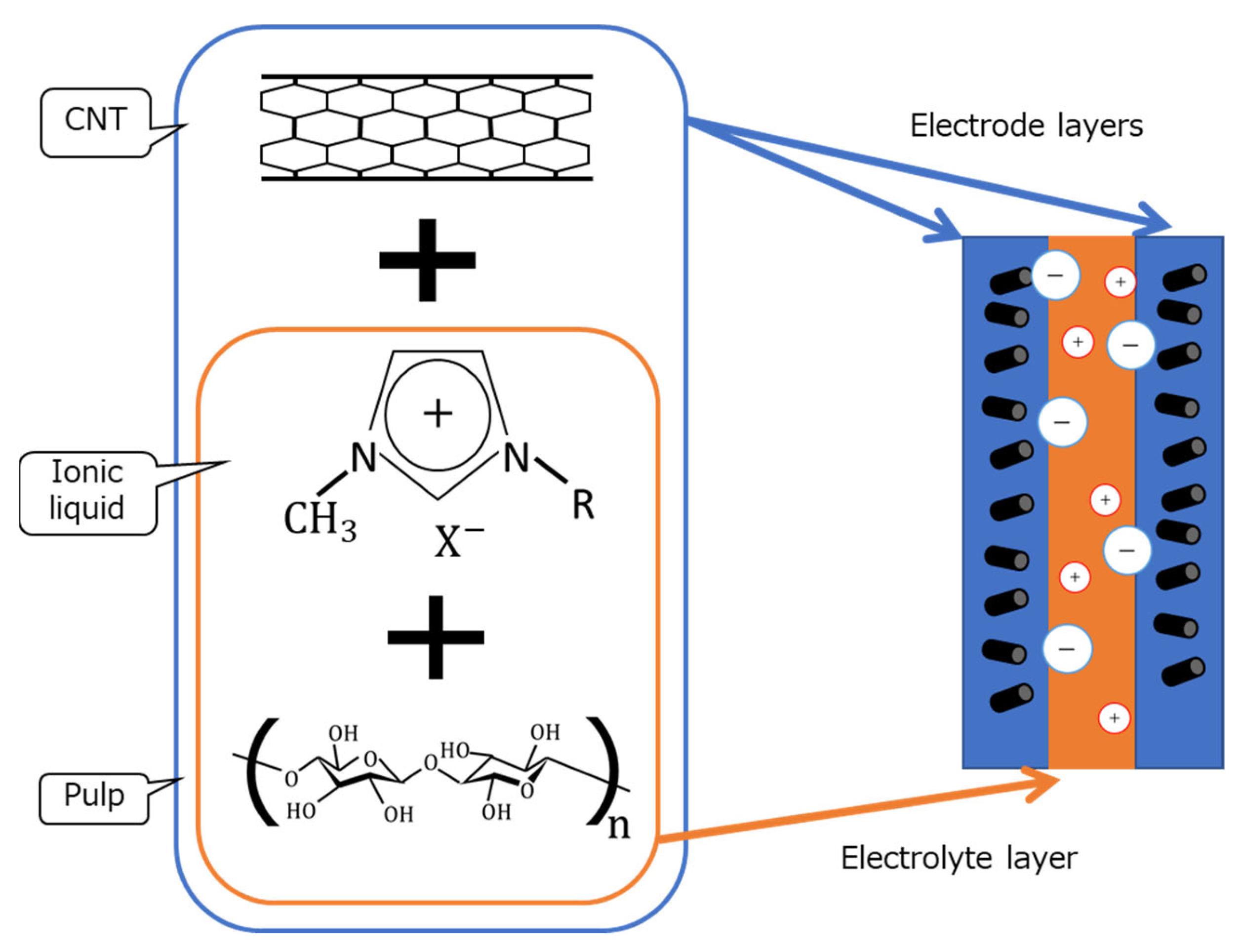 Molecules 26 01463 g001