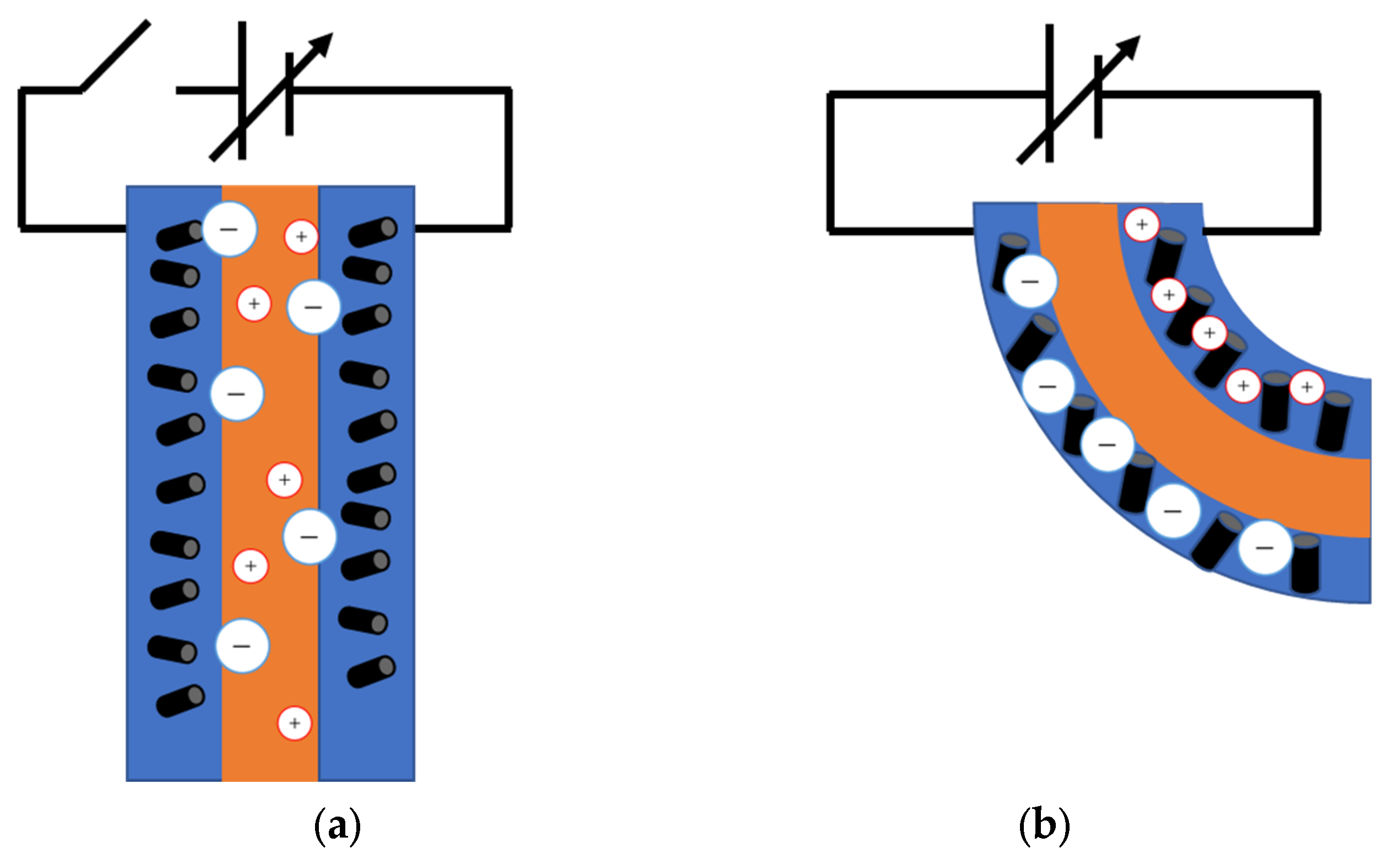 Molecules 26 01463 g002
