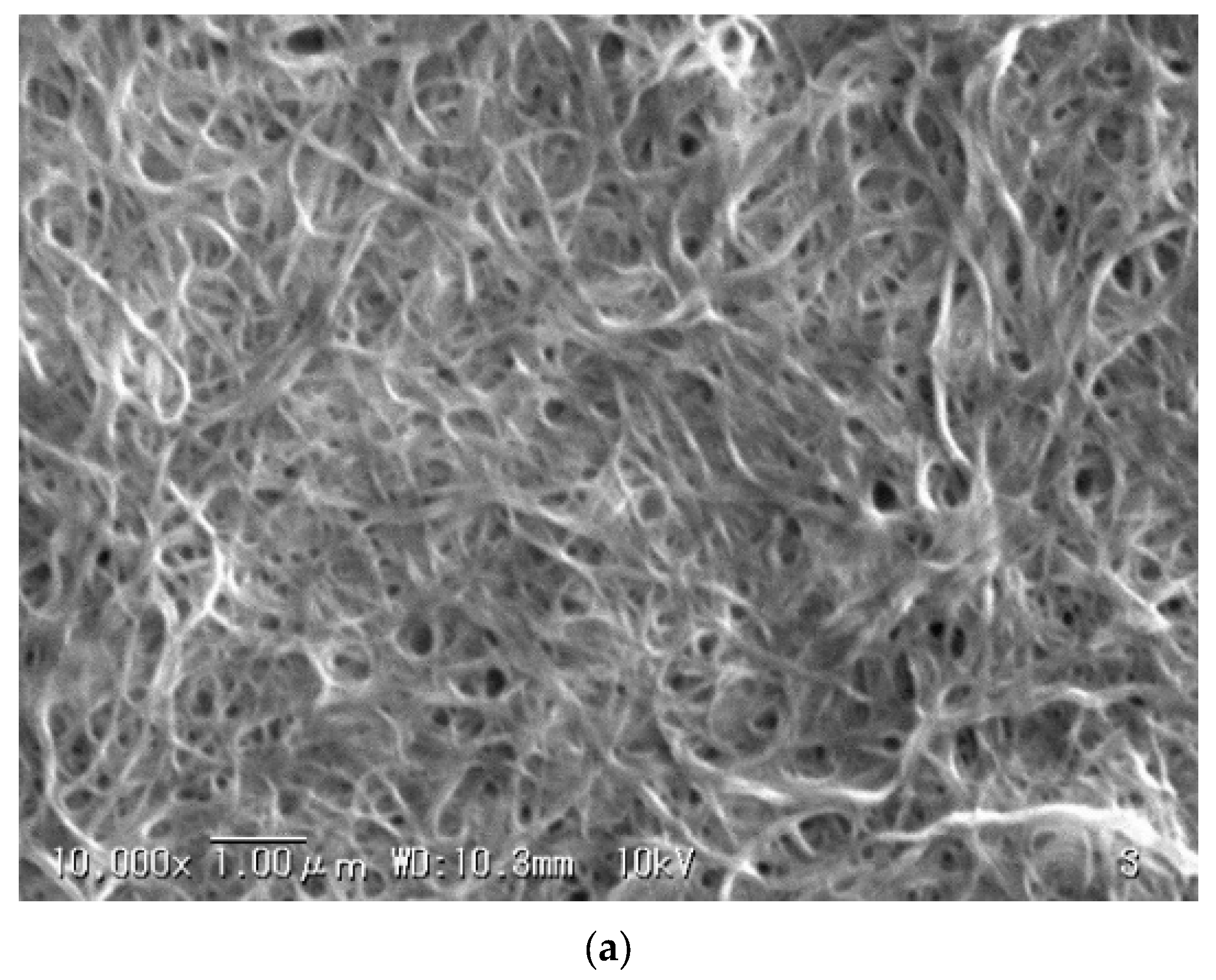 洋書 carbon-containing polymer composites molecules-26-01463-g001-550.