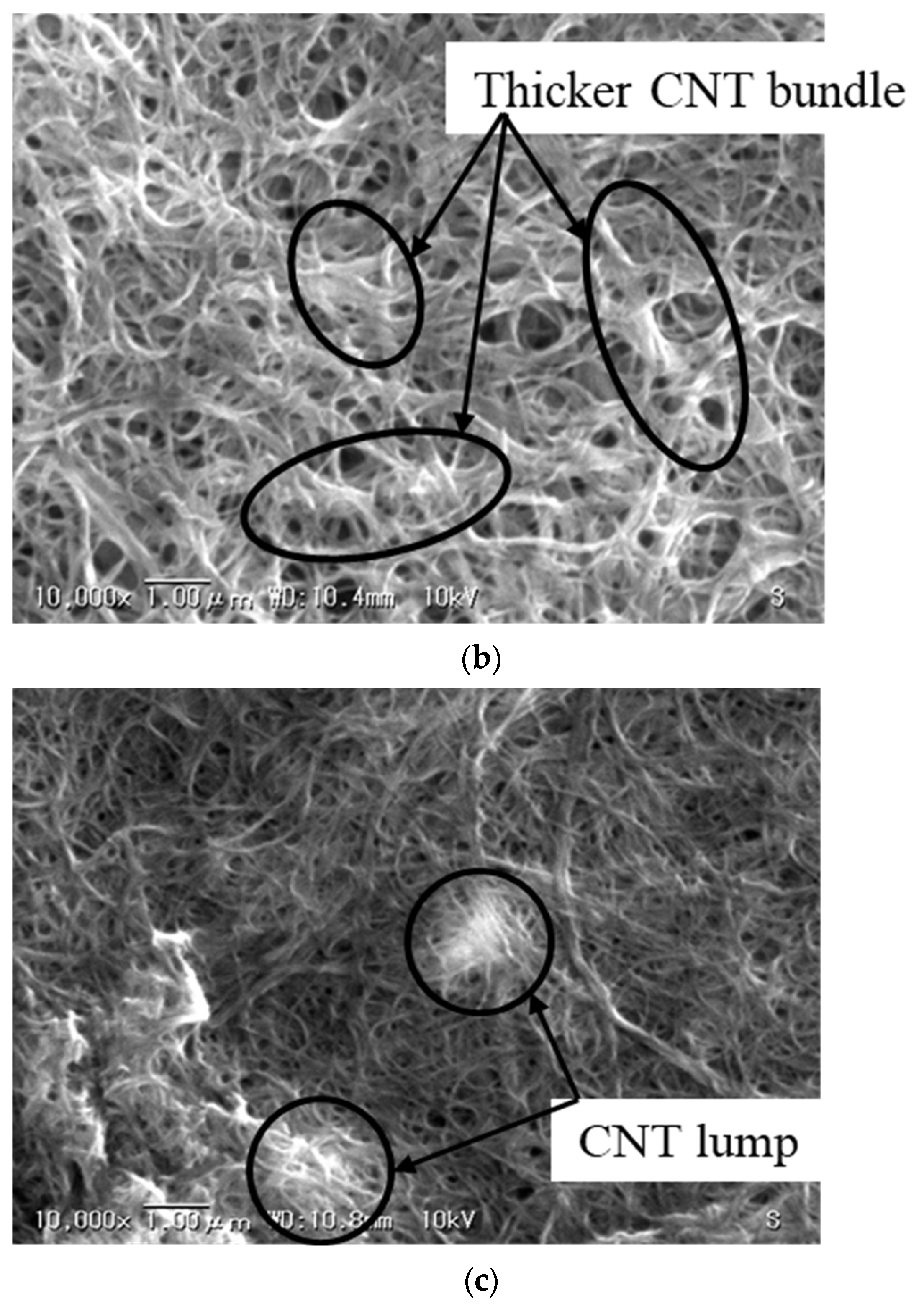 Molecules 26 01463 g008b