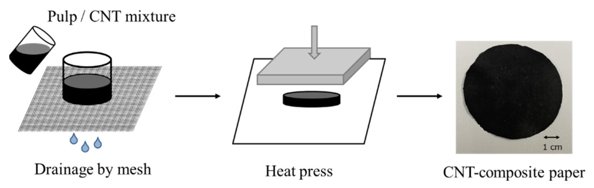 Molecules 26 01463 g010