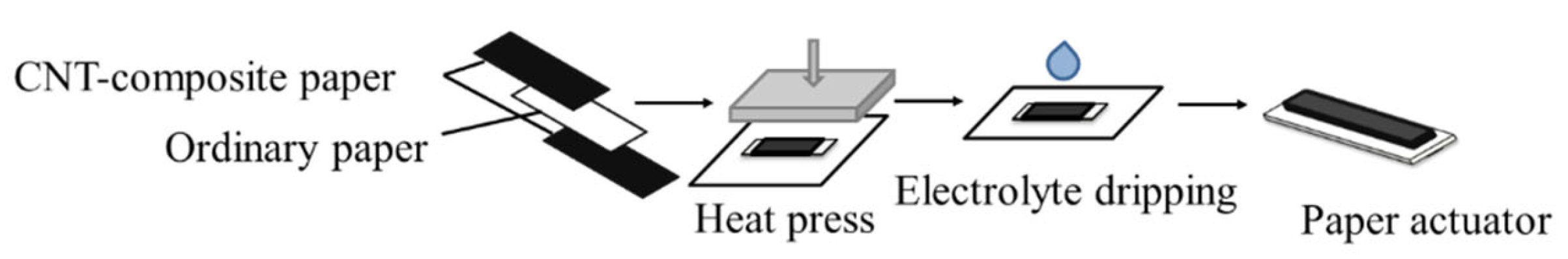 Molecules 26 01463 g011