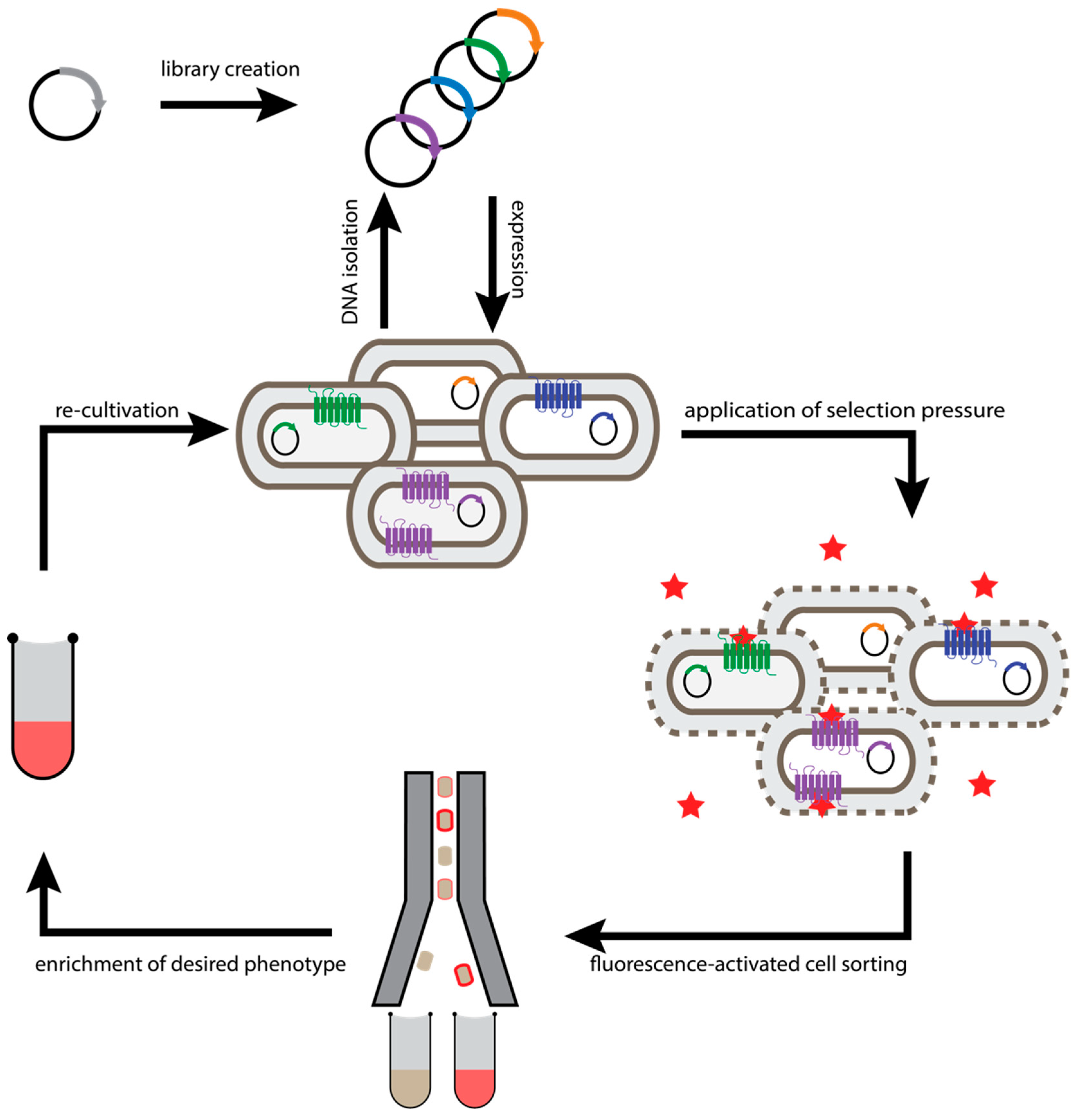 Molecules 26 01465 g001 Molecules 26 01465 g001