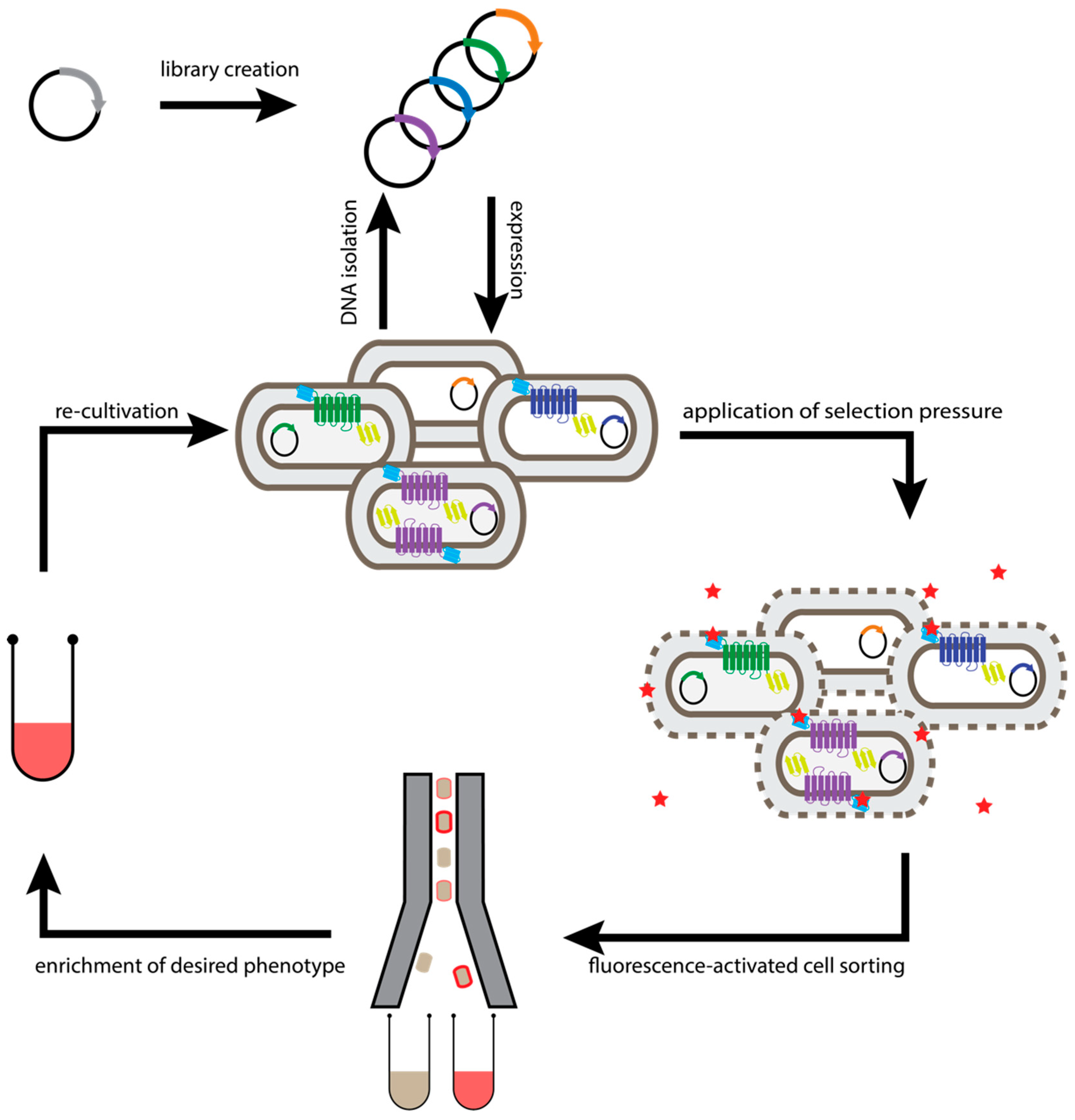 Molecules 26 01465 g002 Molecules 26 01465 g002
