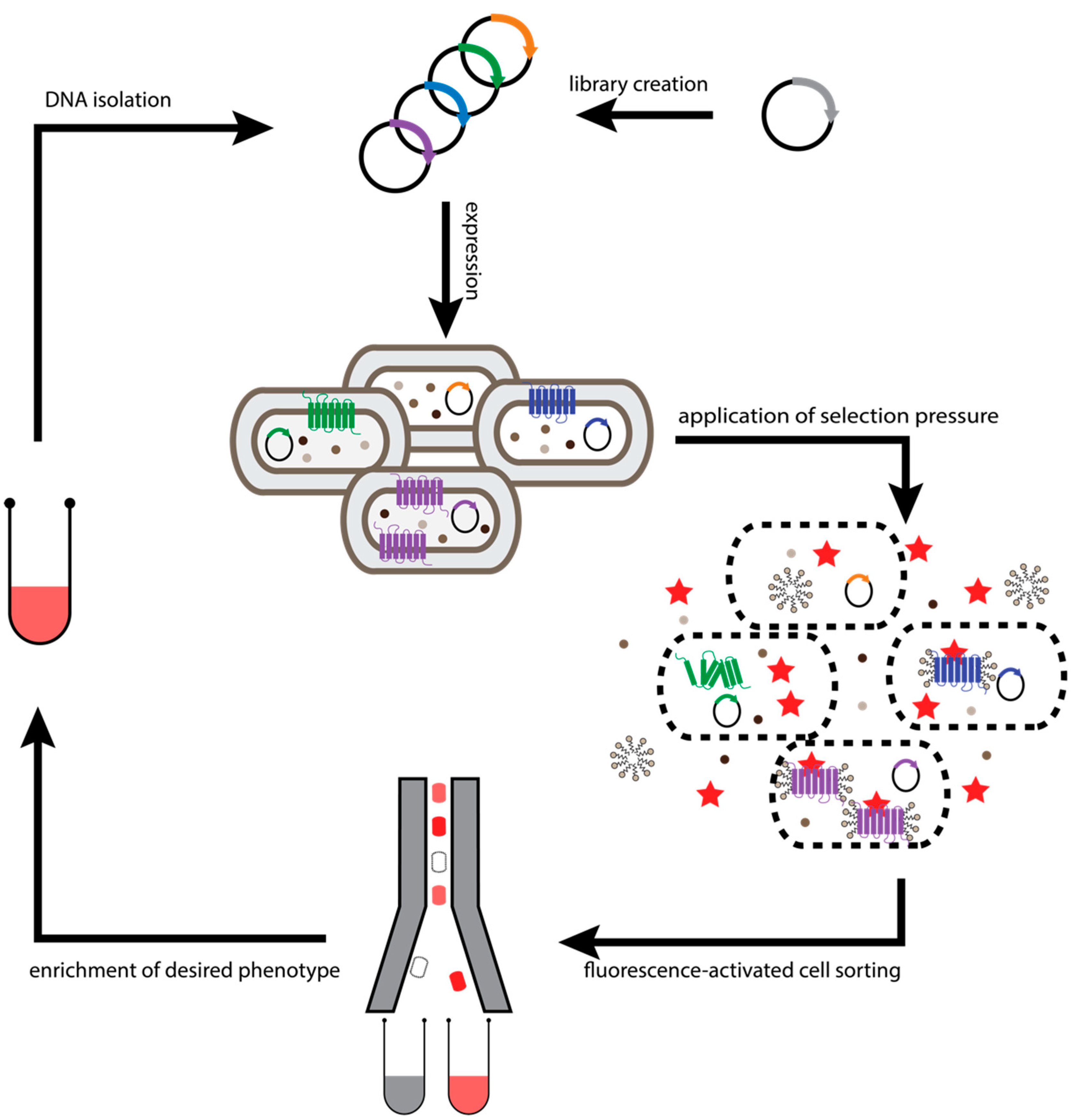Molecules 26 01465 g003 Molecules 26 01465 g003
