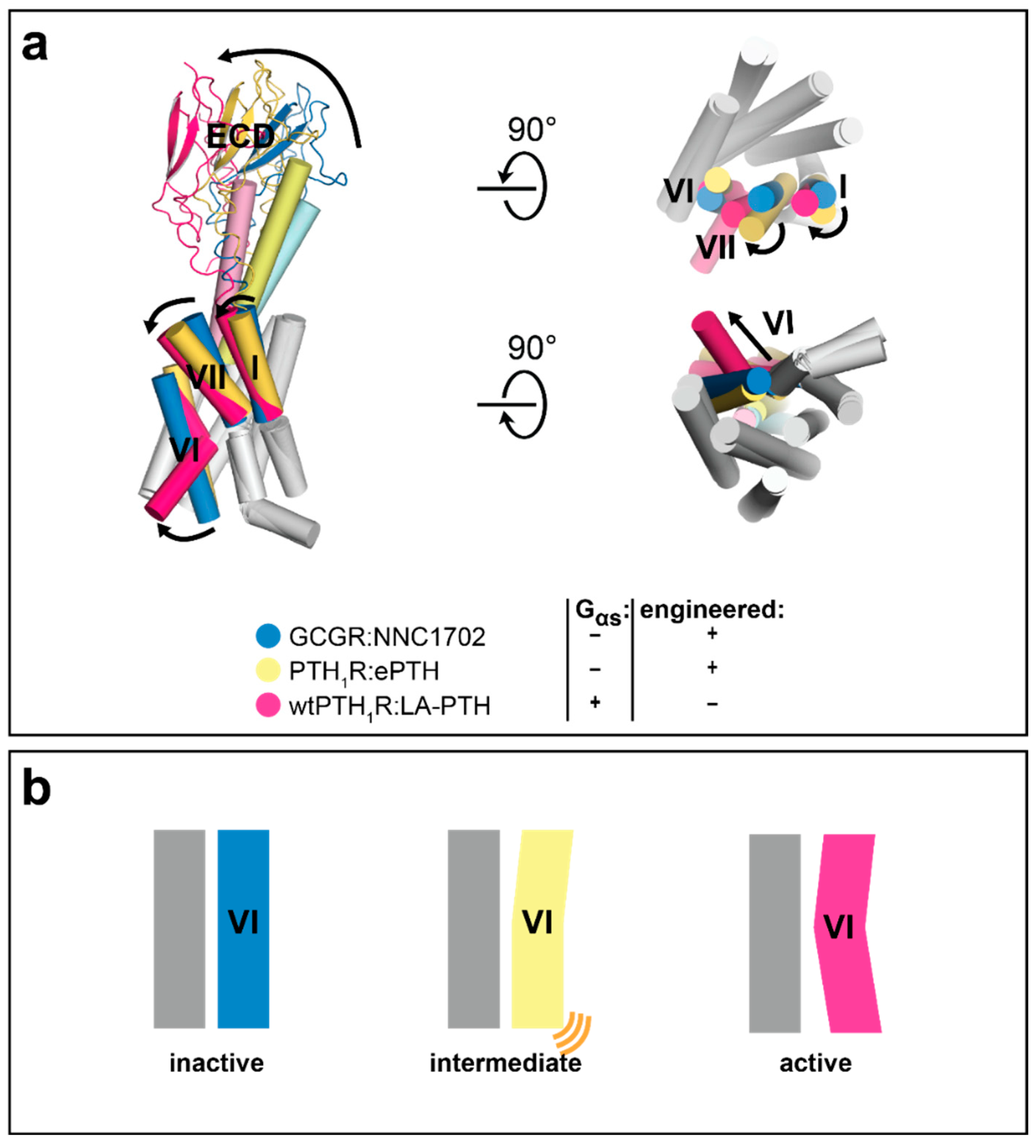 Molecules 26 01465 g007 Molecules 26 01465 g007
