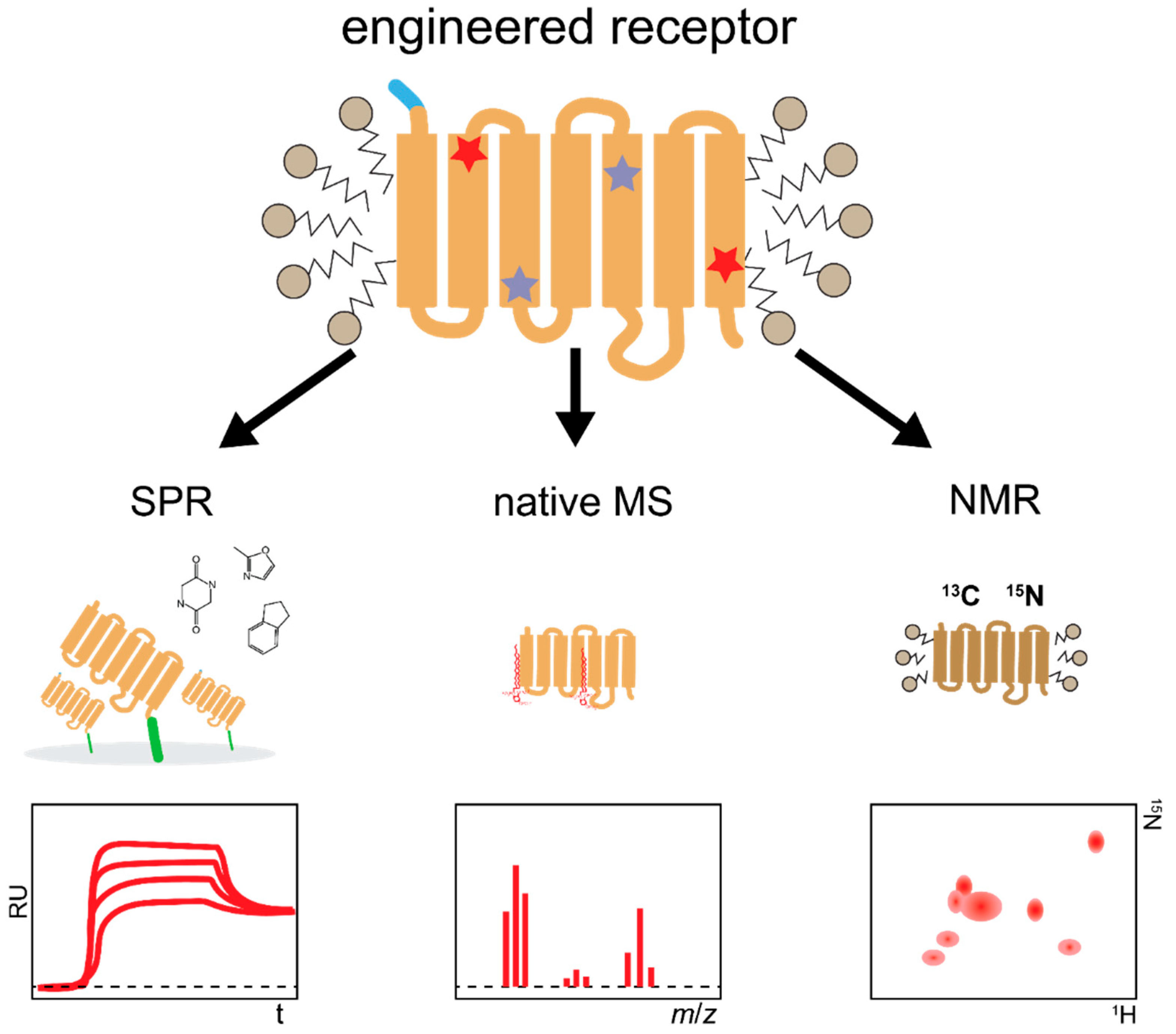 Molecules 26 01465 g008 Molecules 26 01465 g008